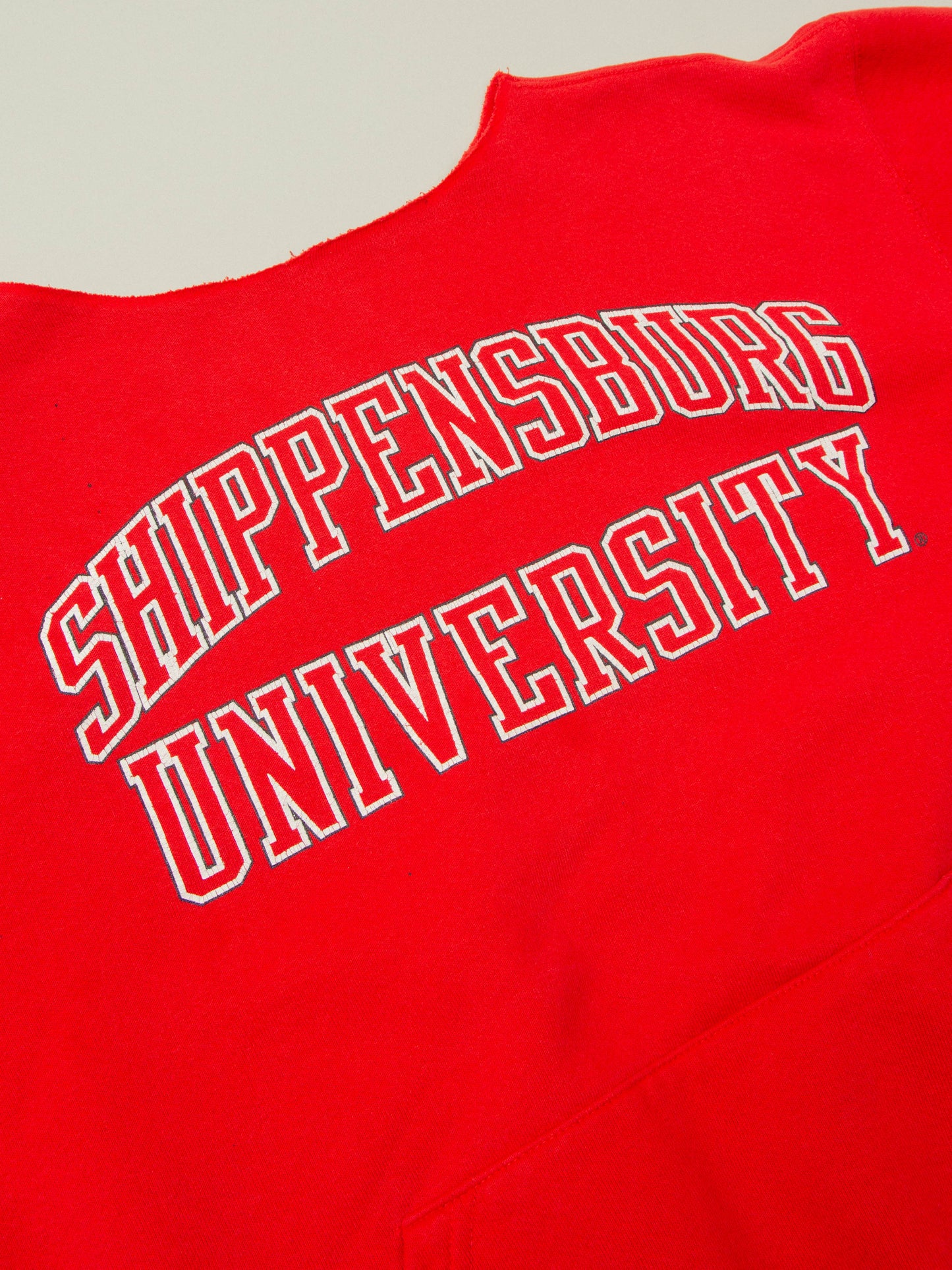Vtg 1990s University Sweatshirt (M)