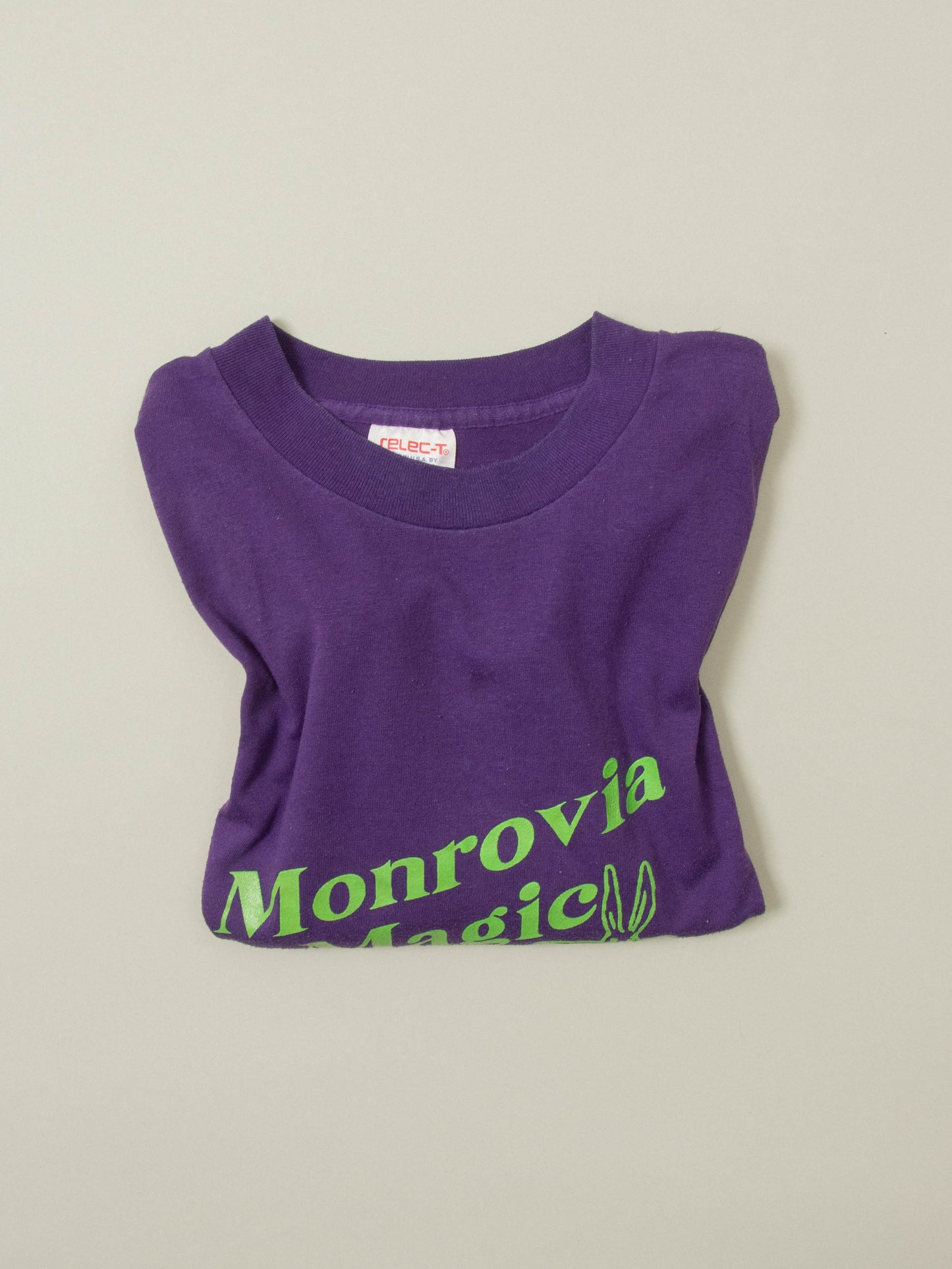 Vtg 1990s Single Stitch Graphic Tee - Made in USA (XL)