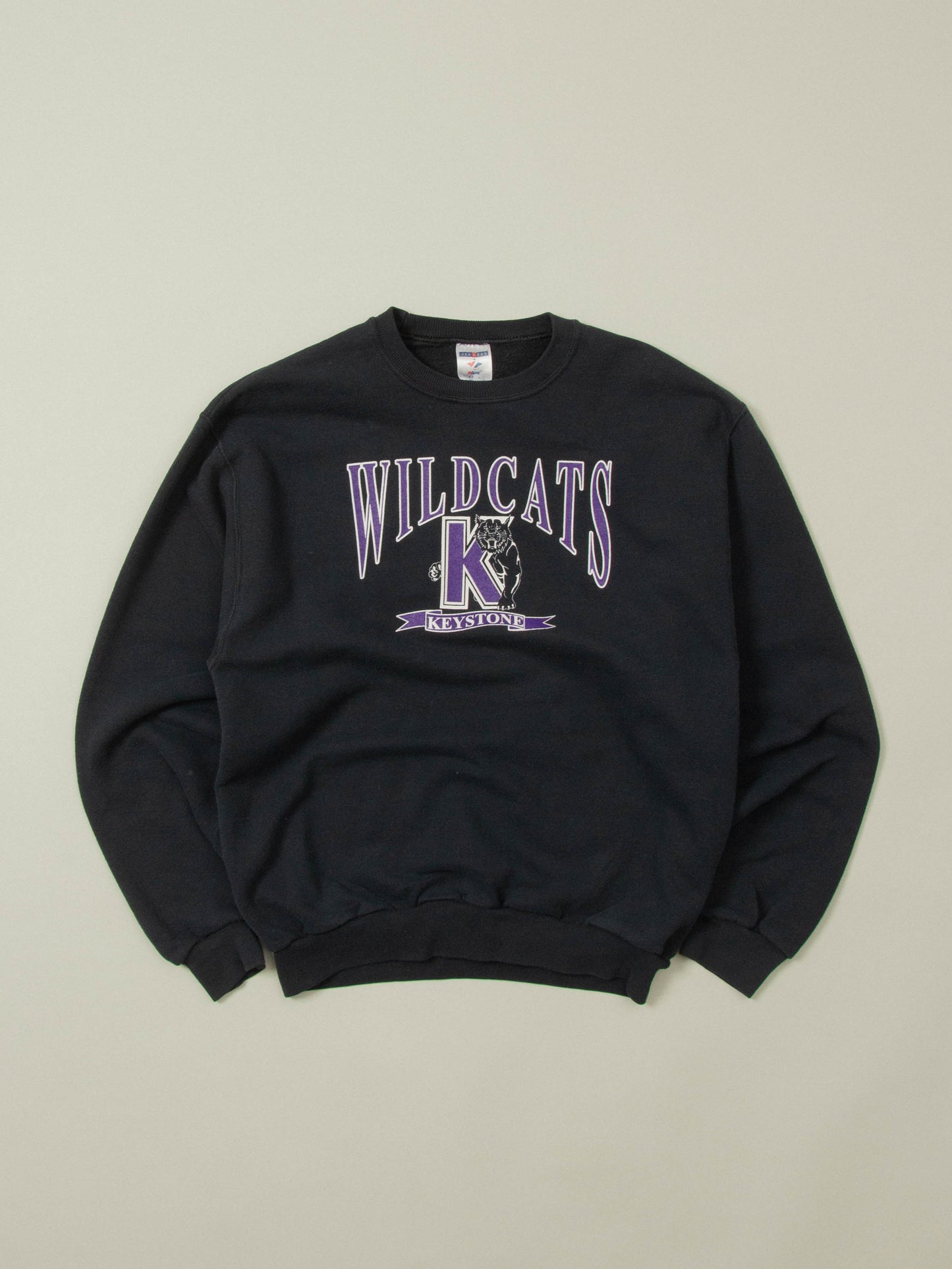 2000s Wild Cats Sweatshirt (M)