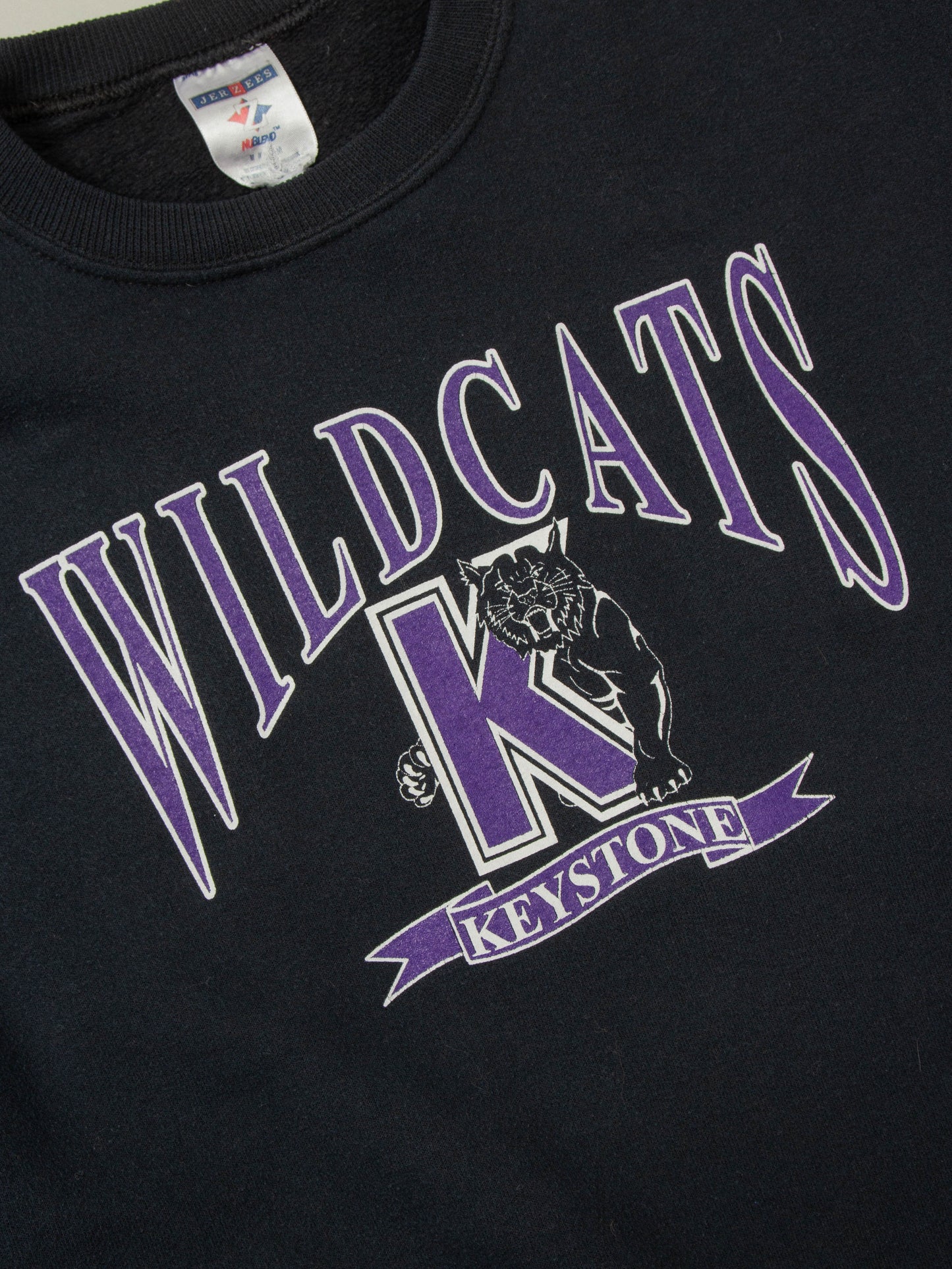 2000s Wild Cats Sweatshirt (M)