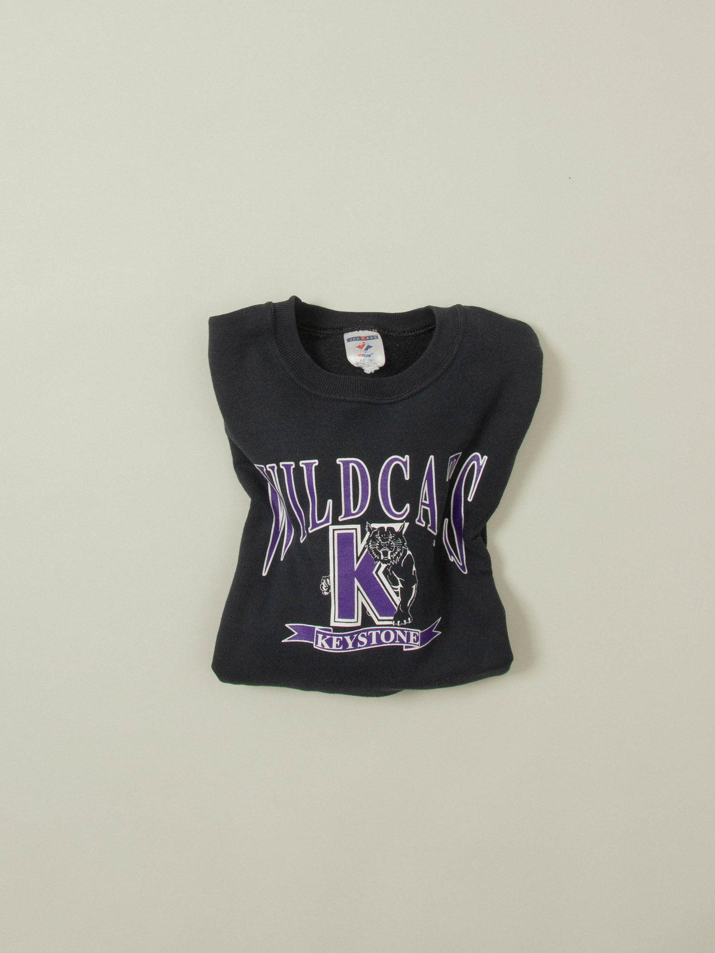 2000s Wild Cats Sweatshirt (M)