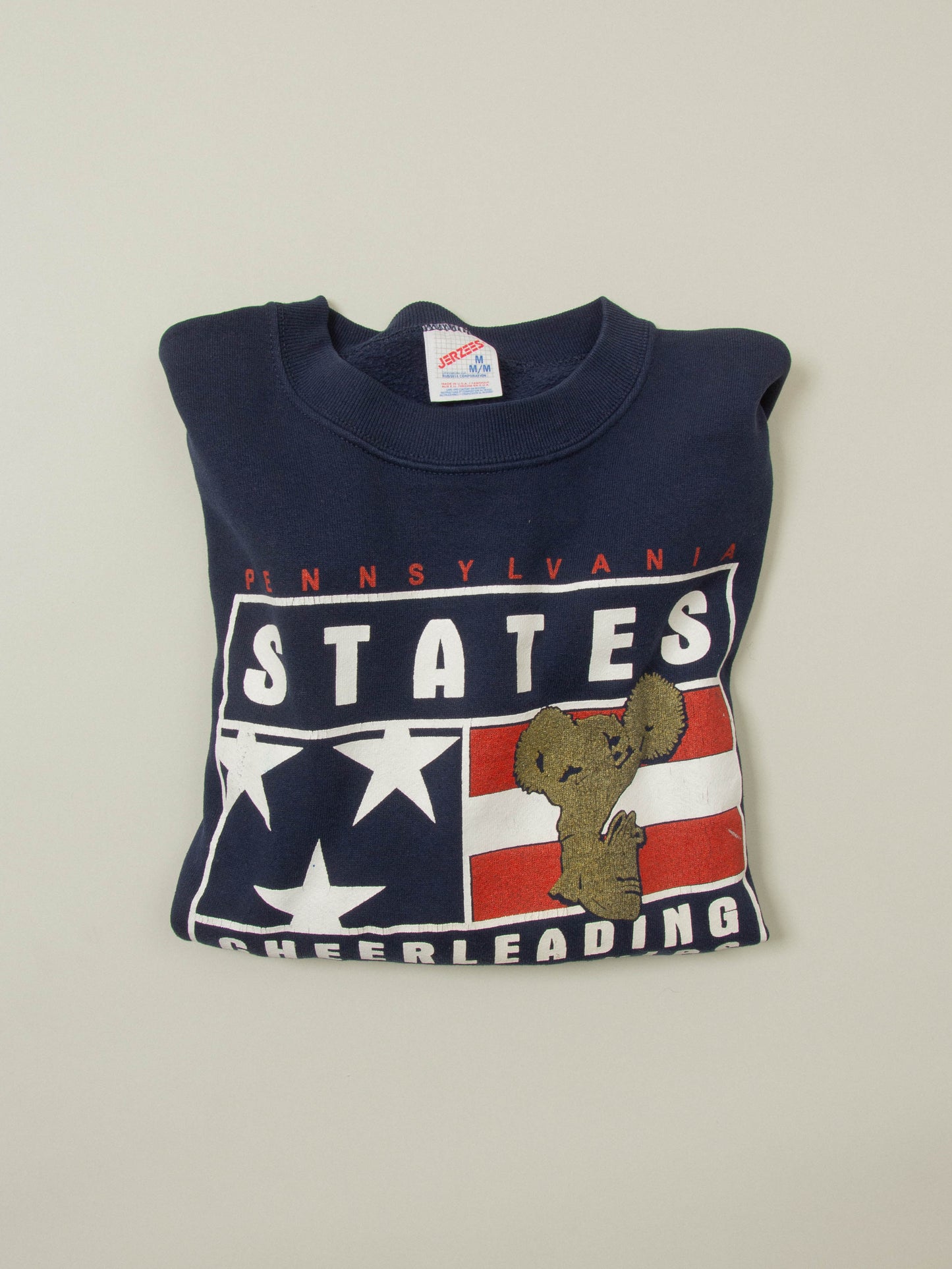Vtg 1990s Pennsylvania Sweatshirt - Made in USA (M)