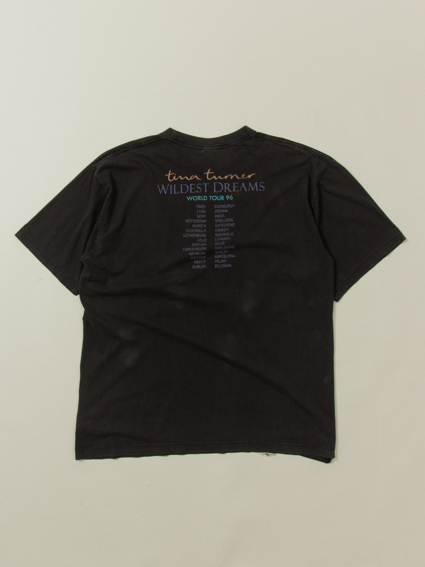 Vtg 1996 Tina Turner 'Wildest Dreams' Tour Tee (XL)