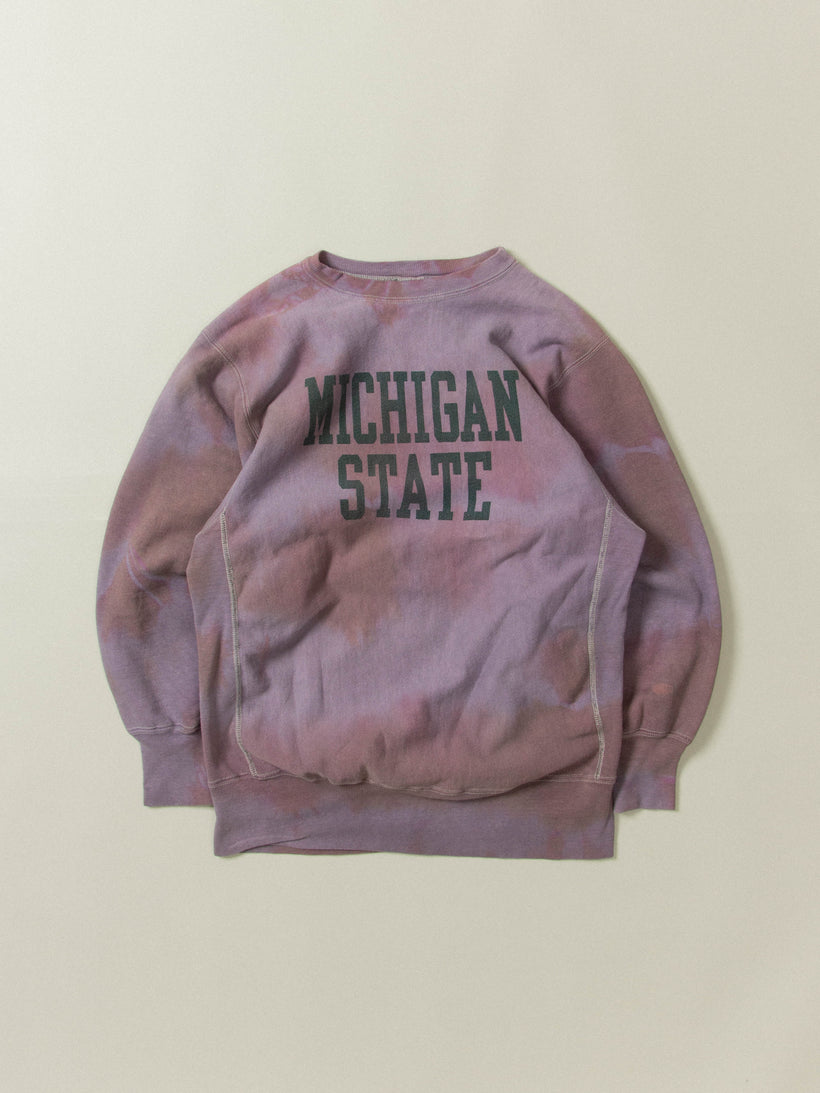 Vtg 1980s Champion Reverse Weave Sweatshirt - Made in USA (L)