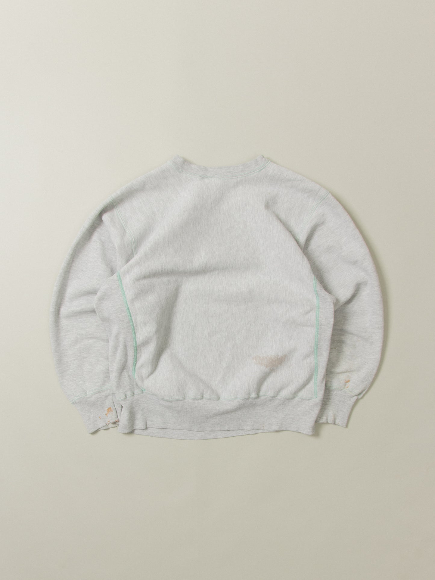 Vtg 1980s Champion Reverse Weave Sweatshirt - Made in USA (M)