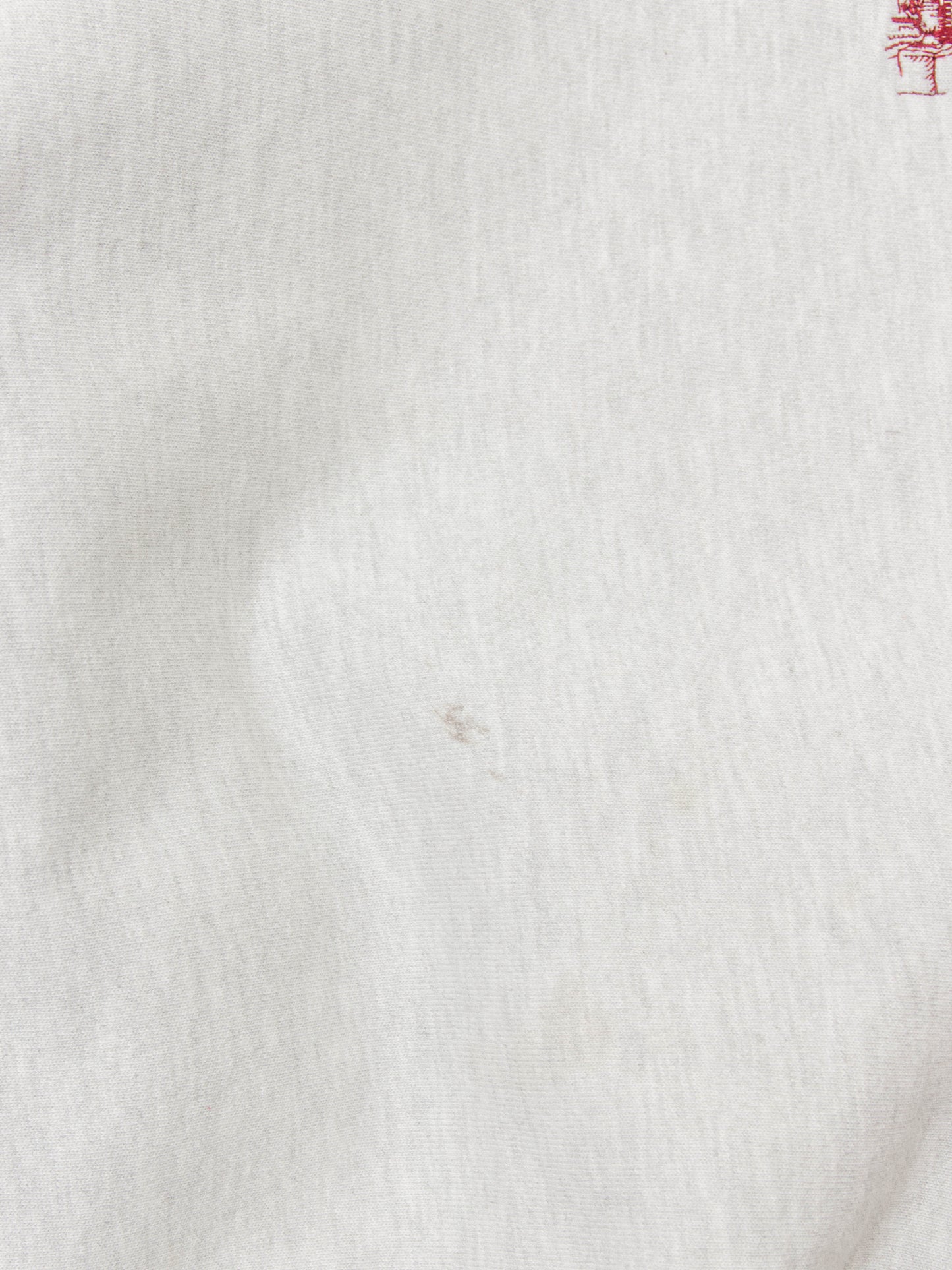 Vtg 1990s Champion Reverse Weave Sweatshirt (L)