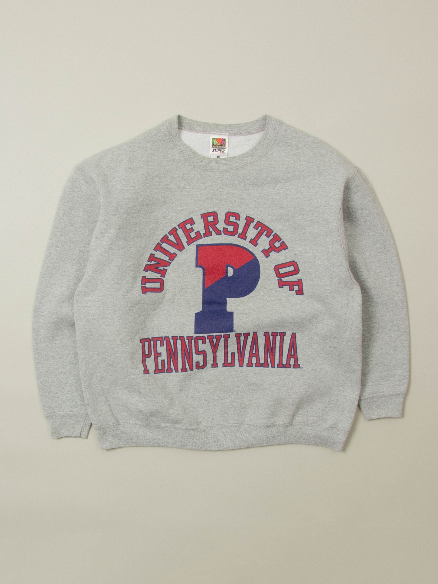 Vtg 1990s University of Pennsylvania Sweatshirt - Made in USA (L)