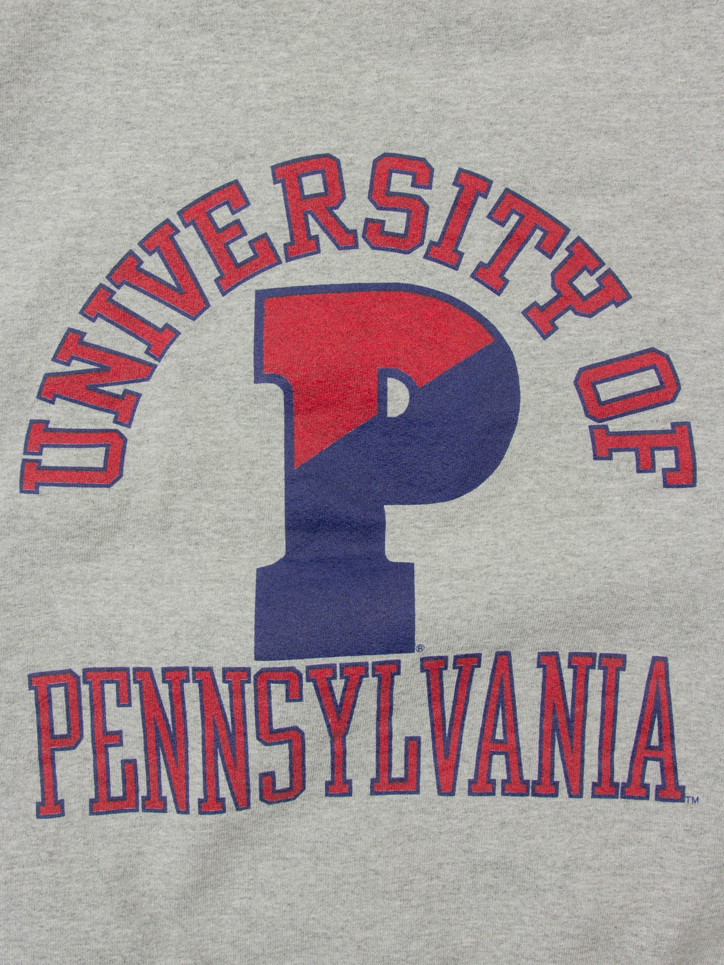 Vtg 1990s University of Pennsylvania Sweatshirt - Made in USA (L)