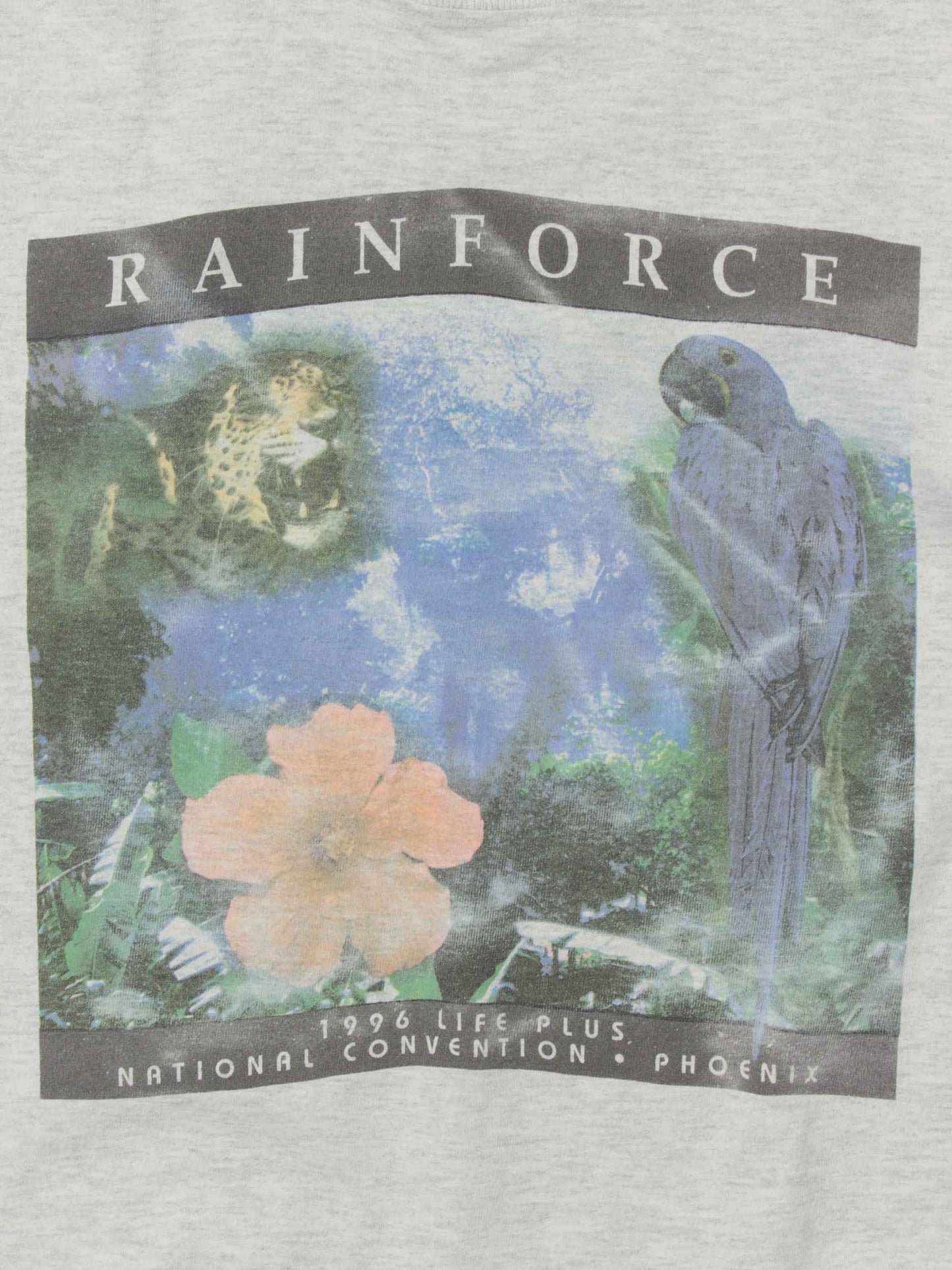 Vtg 1996 Fruit of the Loom Tee - Made in USA (XL)