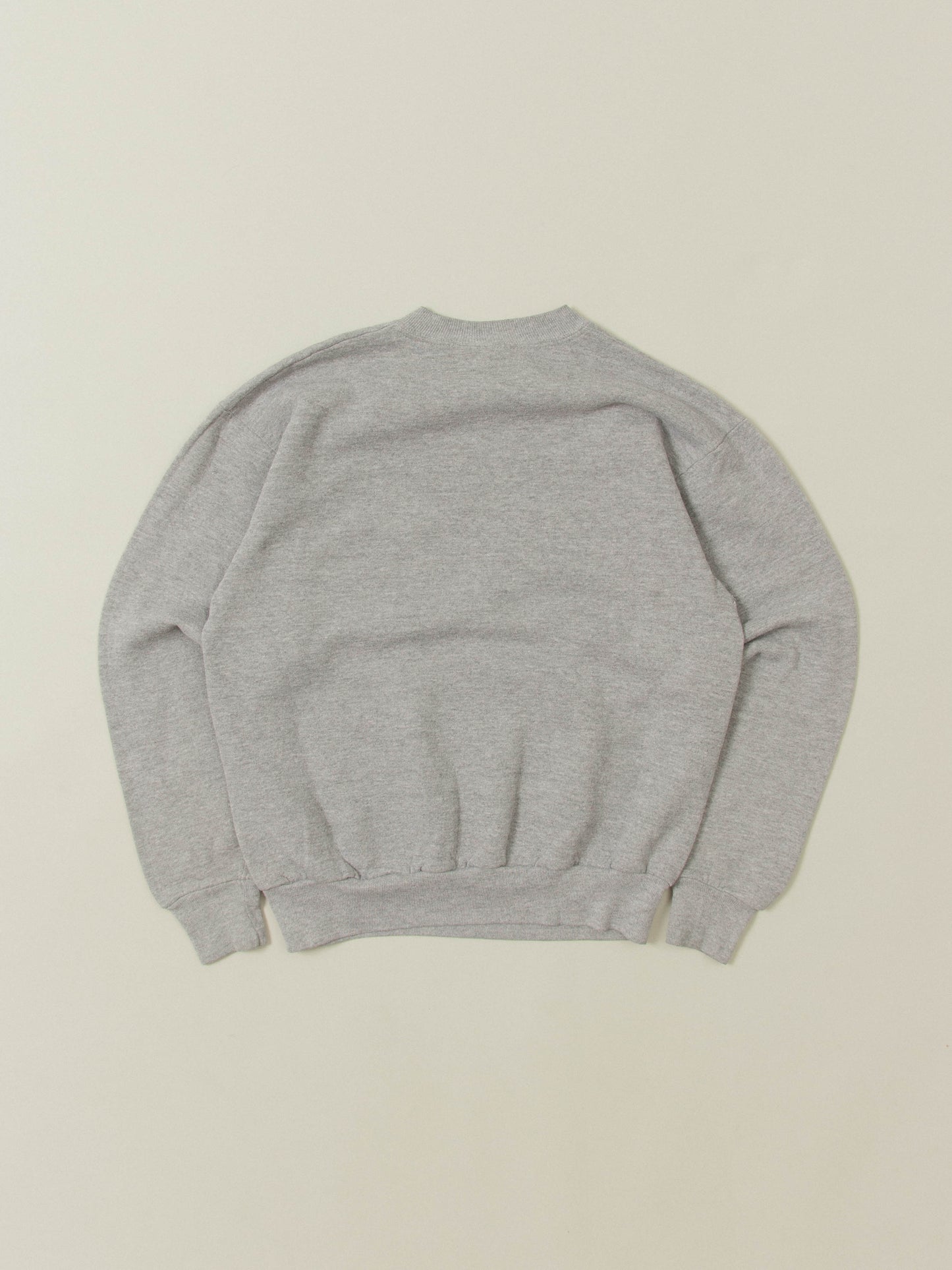 Vtg 1990s University of Tennessee Sweatshirt (S)