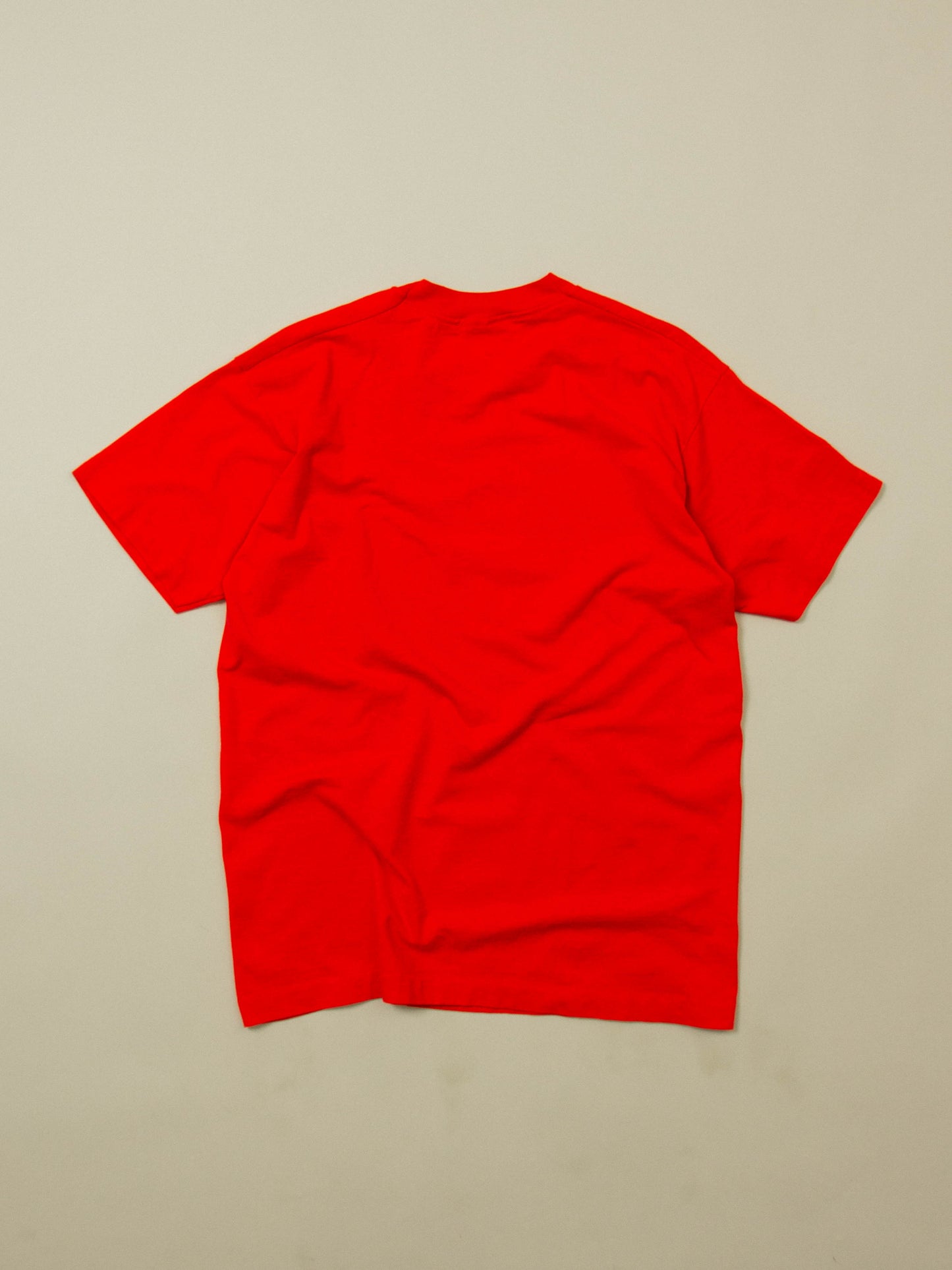 Vtg 1990s Fruit of the Loom Single Stitch Tee - Made in USA (L)