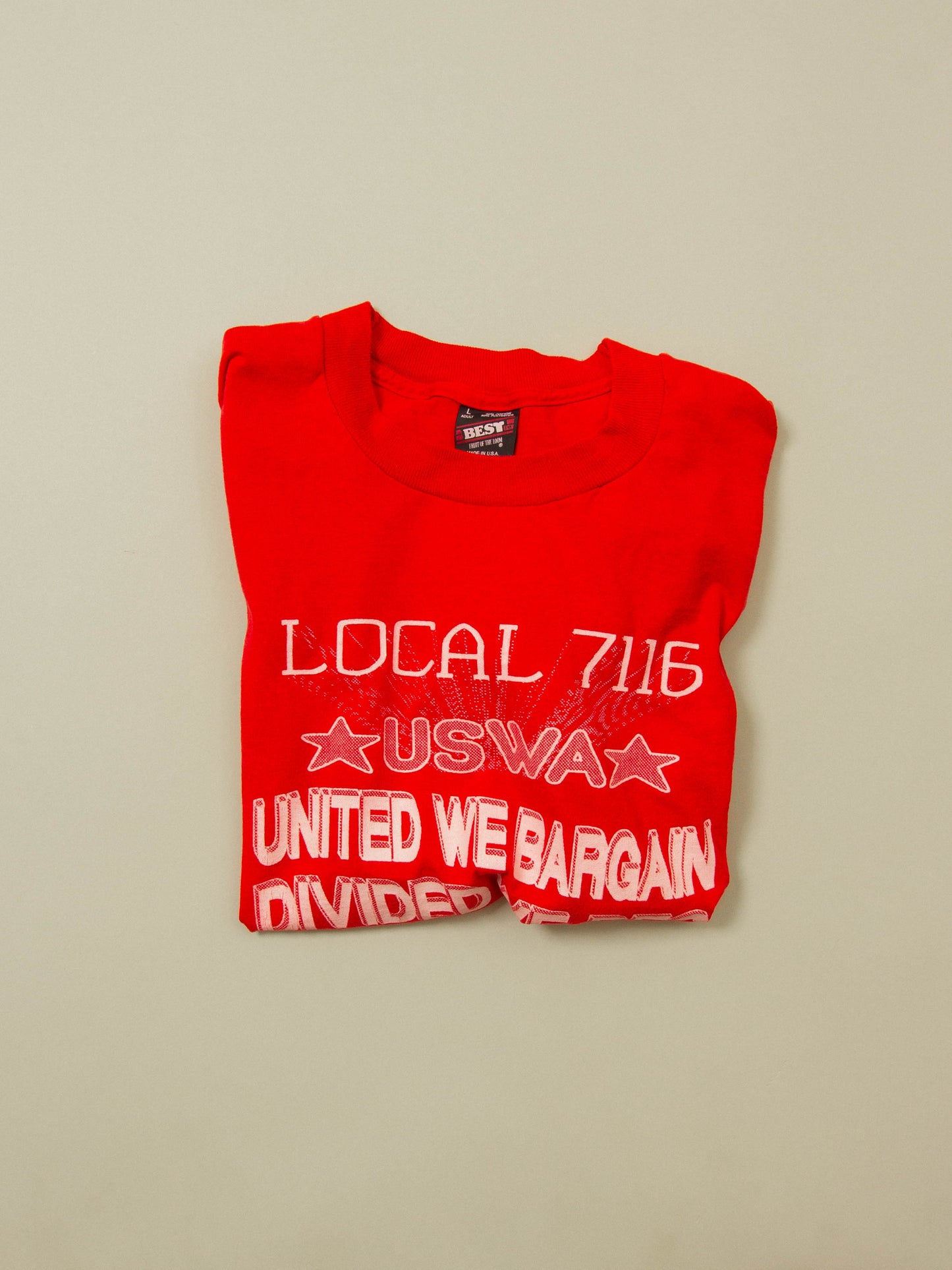 Vtg 1990s Fruit of the Loom Single Stitch Tee - Made in USA (L)