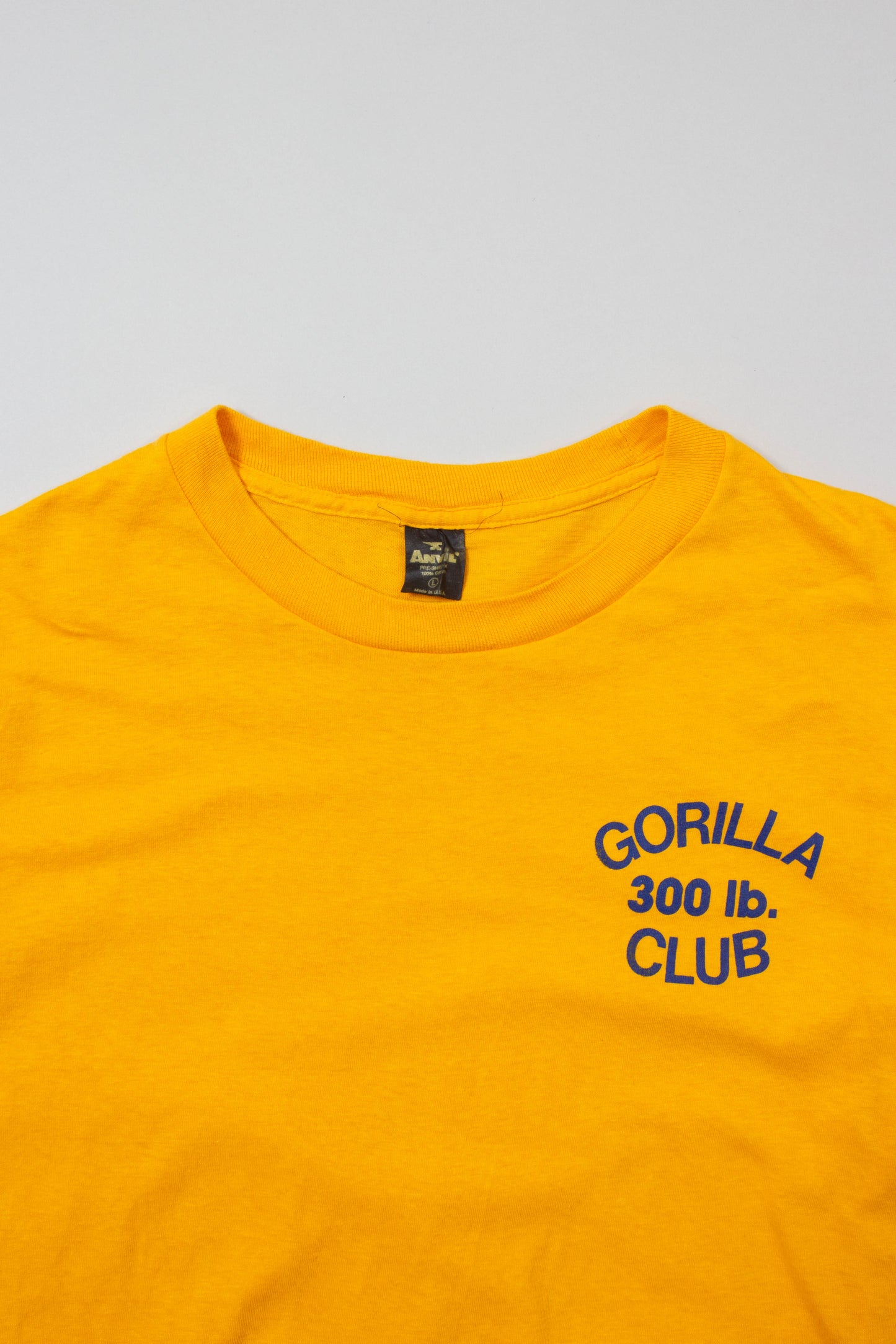 Vtg 1980s Anvil Single Stitch Tee - Made in USA (M)