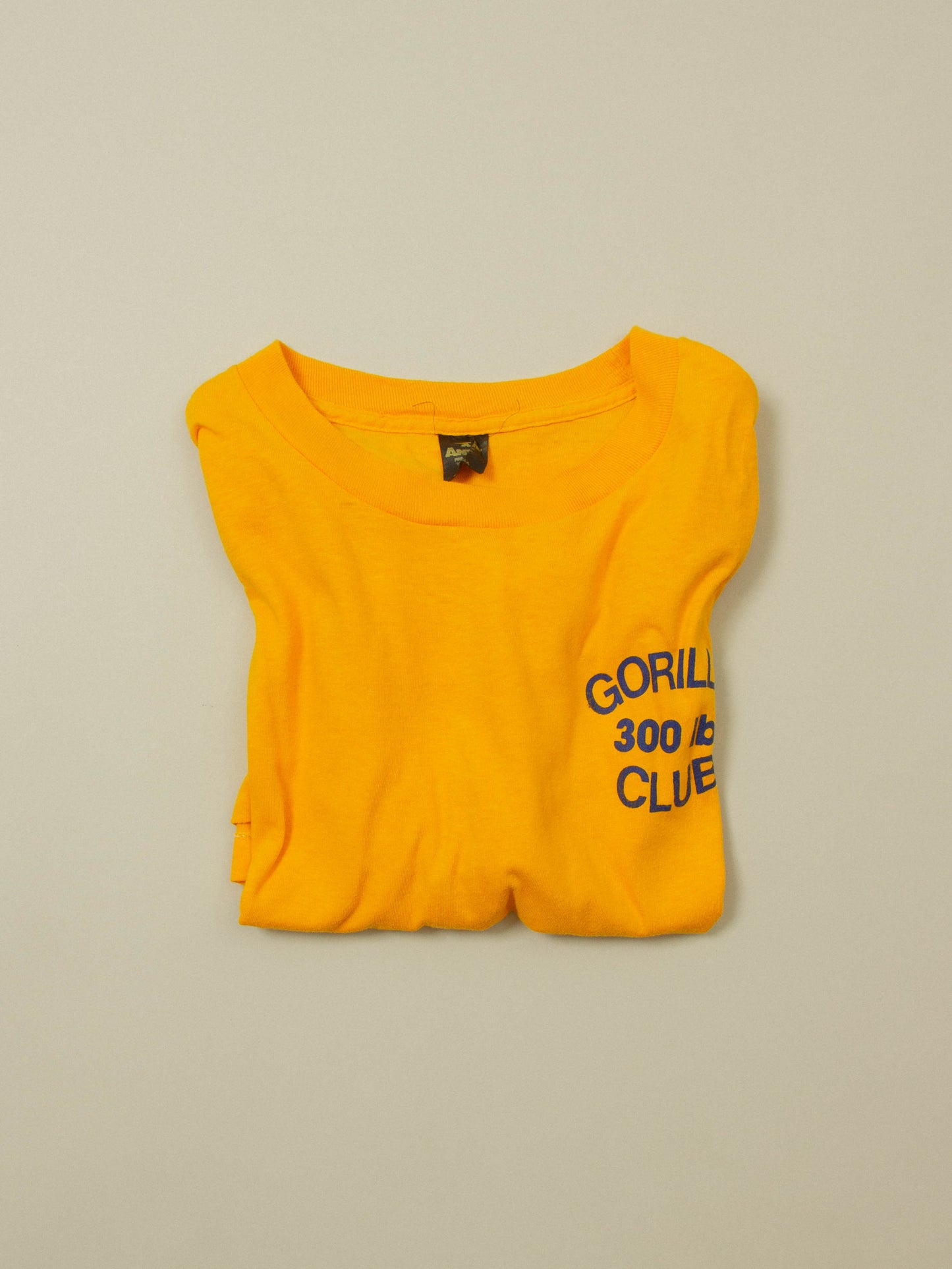 Vtg 1980s Anvil Single Stitch Tee - Made in USA (M)