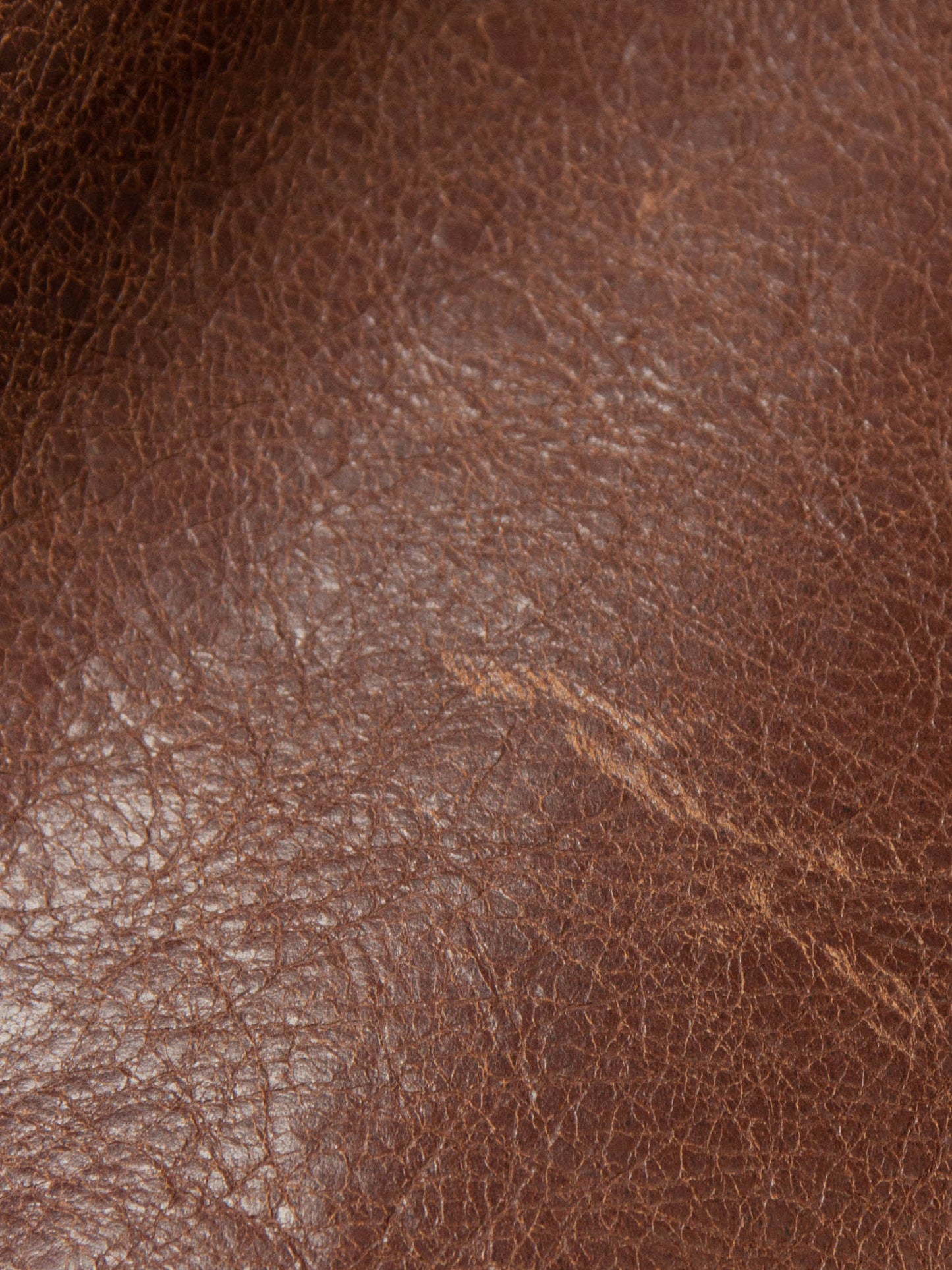 NOS Schott Perfecto Leather Jacket - Made in USA (M)
