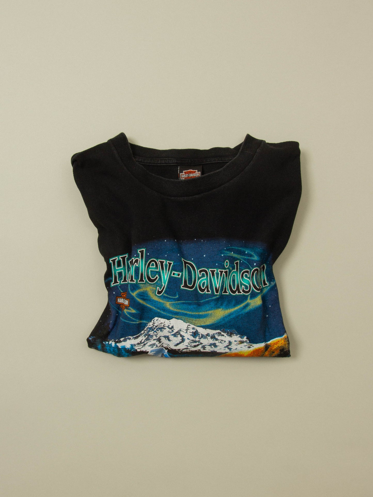 Vtg 1990s Harley Davidson Alaska Tee - Made in USA (XXL)