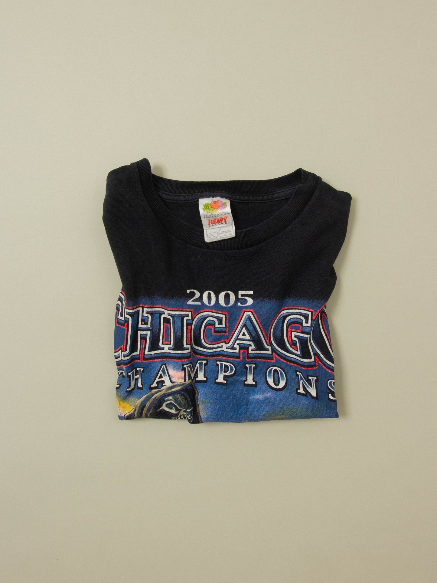 Vtg 2005 Chicago Harley Davidson Tee (S)