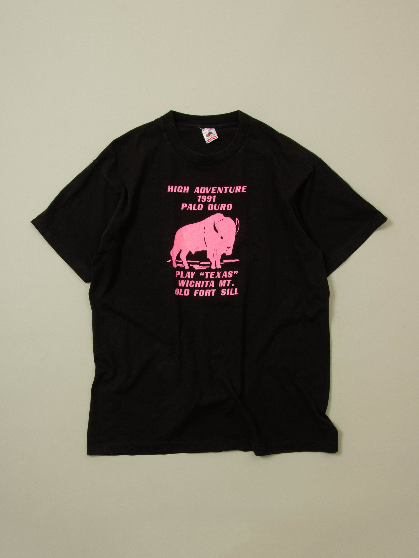 Vtg 1990s Fruit of the Loom Single Stitch Tee - Made in USA (XXL)