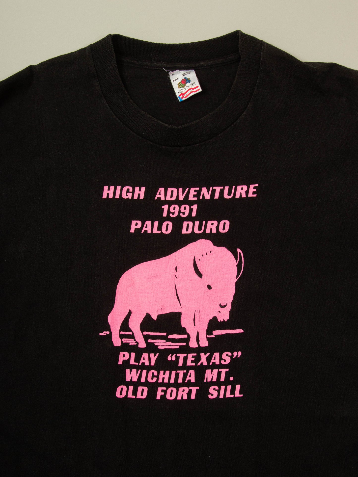 Vtg 1990s Fruit of the Loom Single Stitch Tee - Made in USA (XXL)