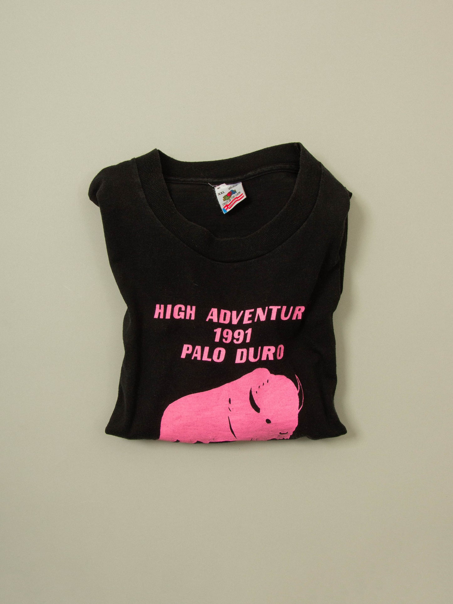 Vtg 1990s Fruit of the Loom Single Stitch Tee - Made in USA (XXL)