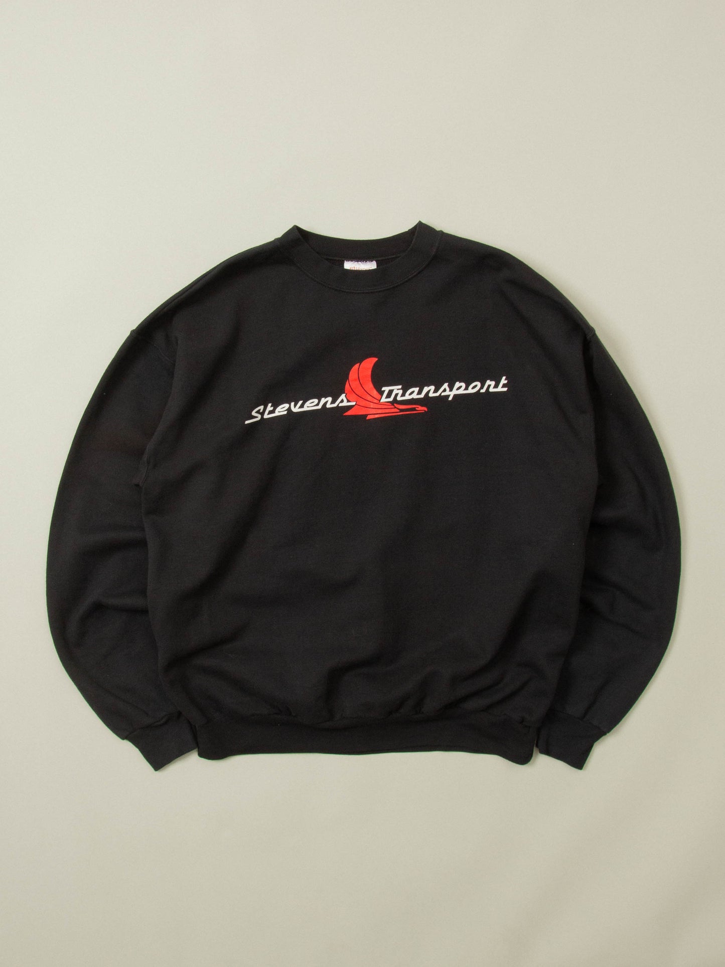 Vtg 1990s Hanes Graphic Sweatshirt (L)