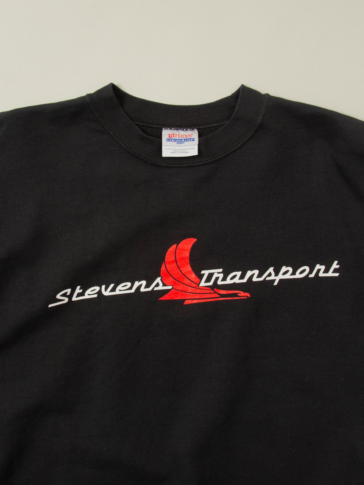 Vtg 1990s Hanes Graphic Sweatshirt (L)