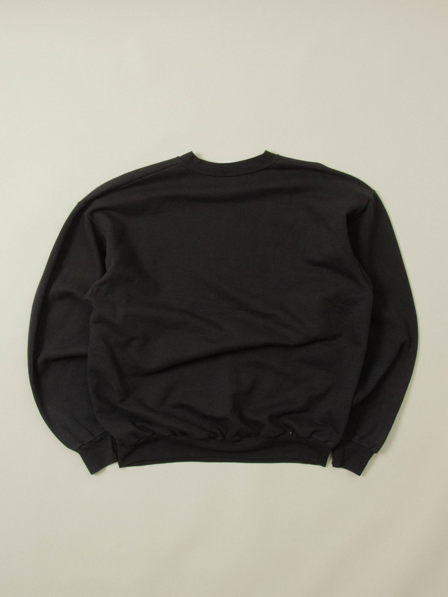 Vtg 1990s Hanes Graphic Sweatshirt (L)