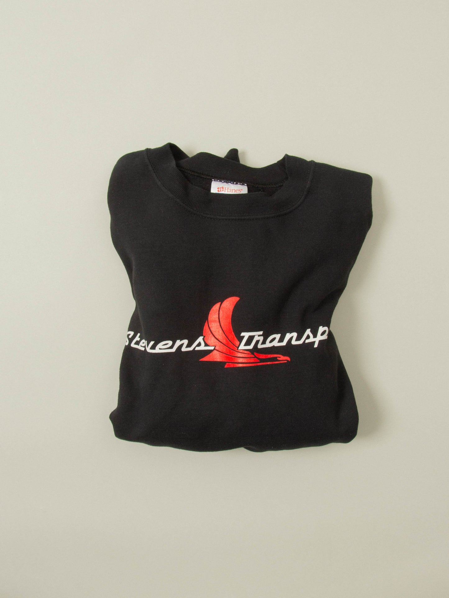 Vtg 1990s Hanes Graphic Sweatshirt (L)