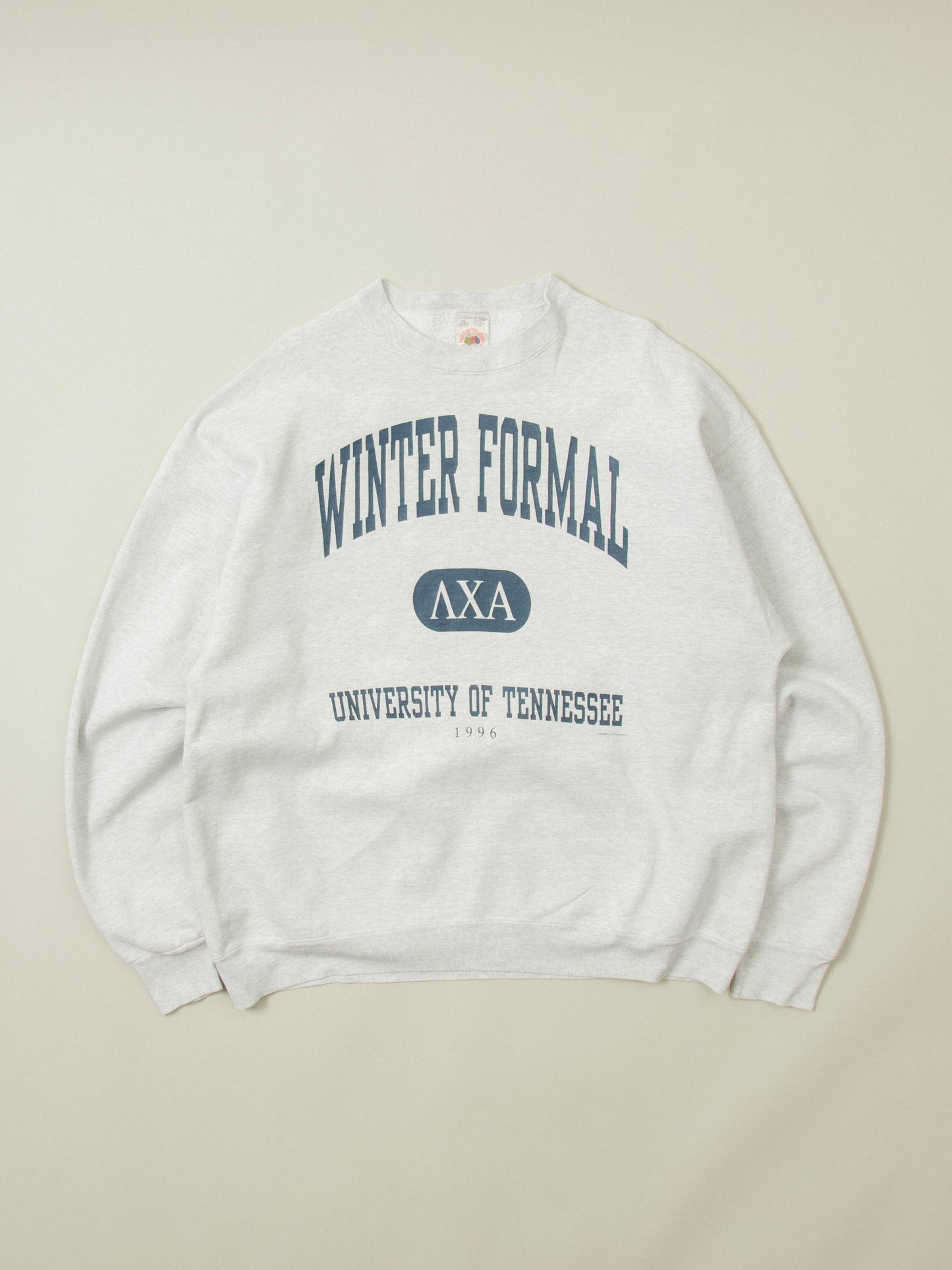 Vtg 1996 Fruit of The Loom University Sweatshirt - Made in USA (XL)