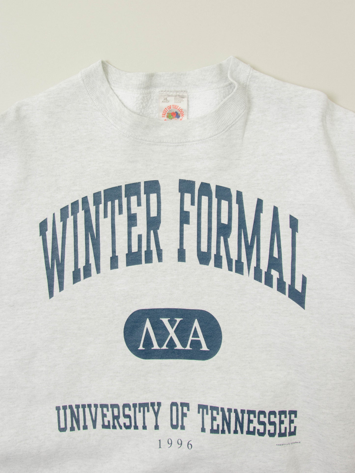 Vtg 1996 Fruit of The Loom University Sweatshirt - Made in USA (XL)