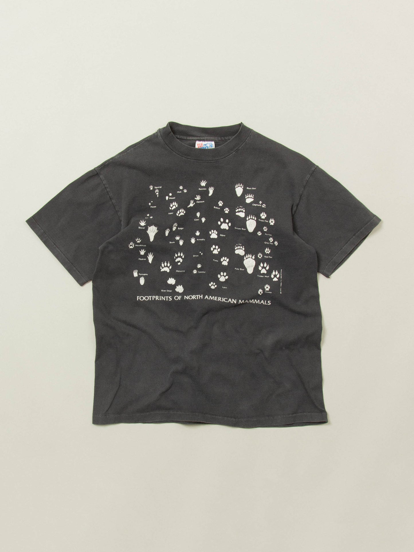 Vtg 1990s 'American Mammals' Single Stitch Faded Tee – Made in USA (M)