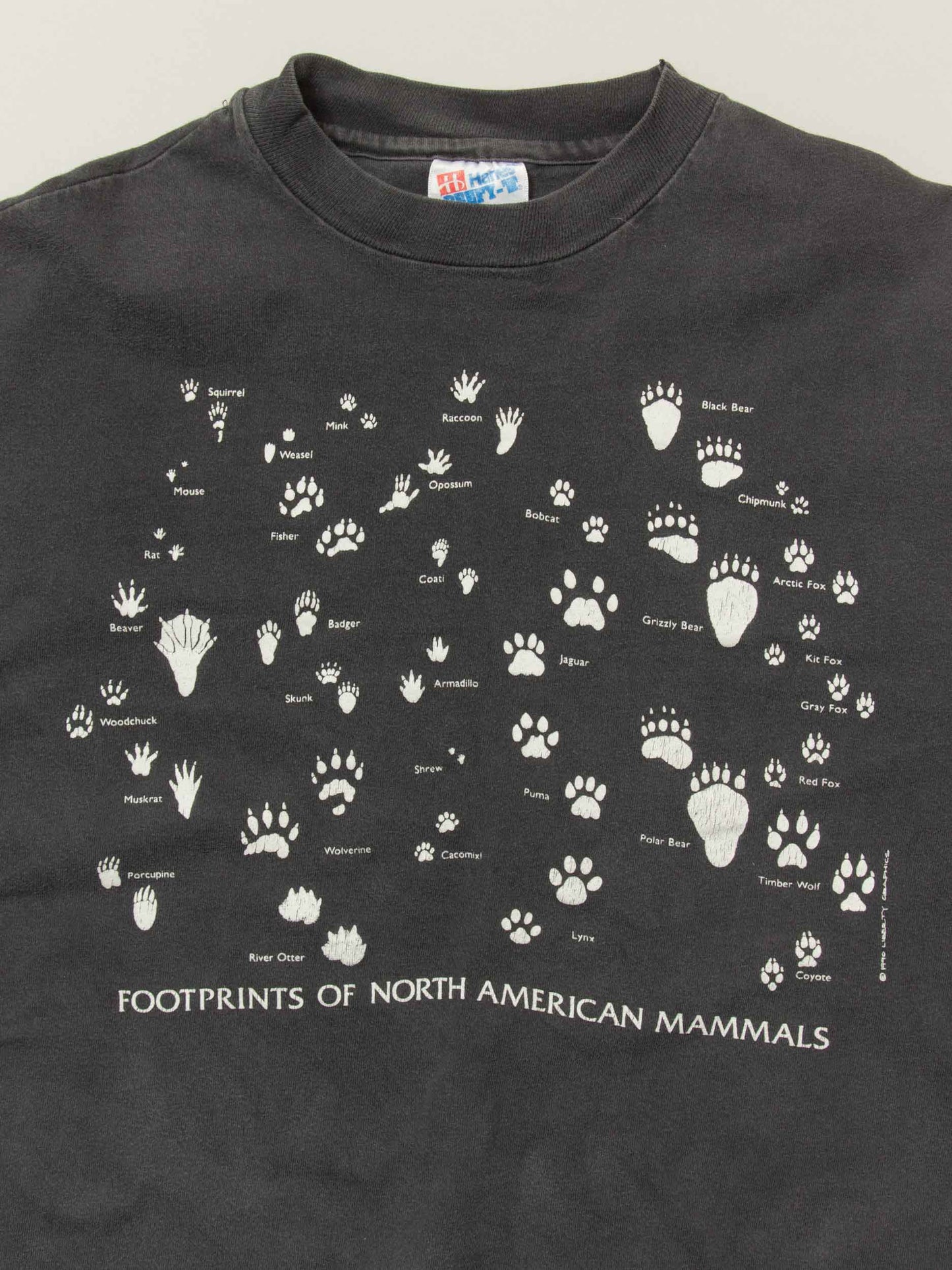 Vtg 1990s 'American Mammals' Single Stitch Faded Tee – Made in USA (M)