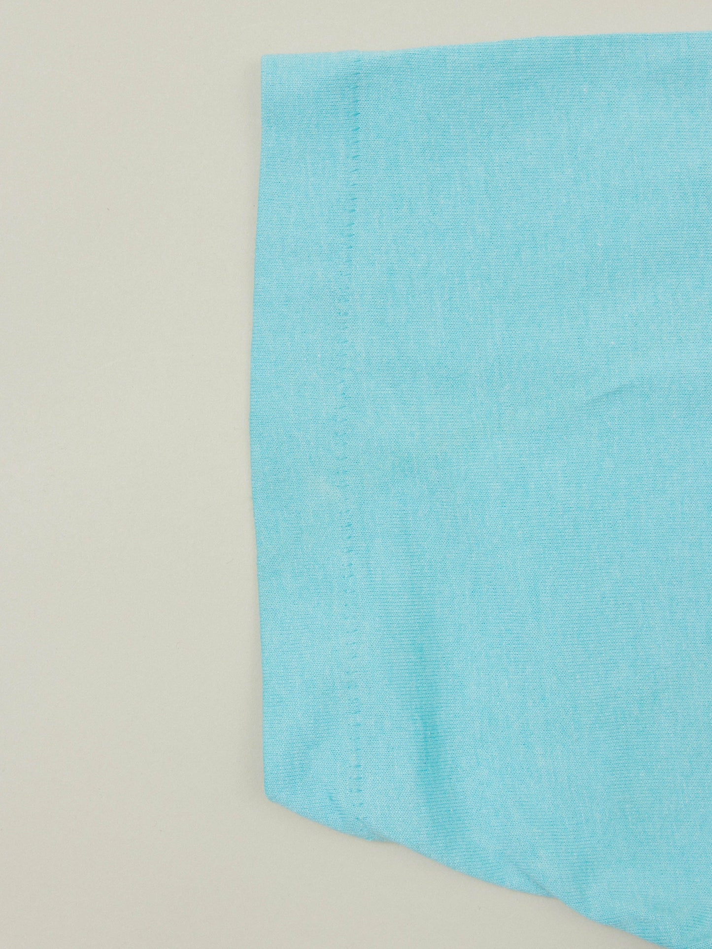 Vtg 1990s Fruit of the Loom Single Stitch Tee - Made in USA (L)