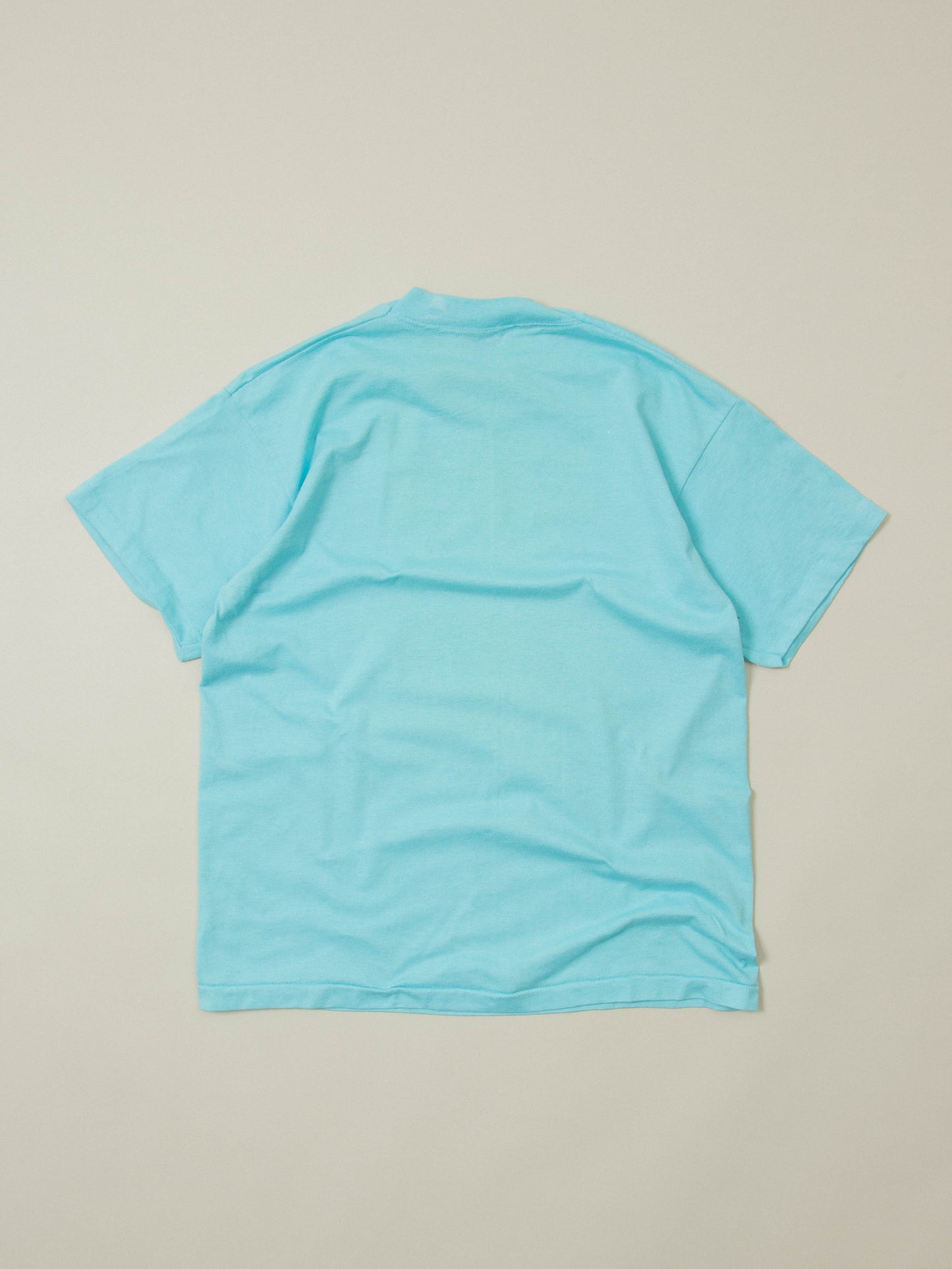 Vtg 1990s Fruit of the Loom Single Stitch Tee - Made in USA (L)