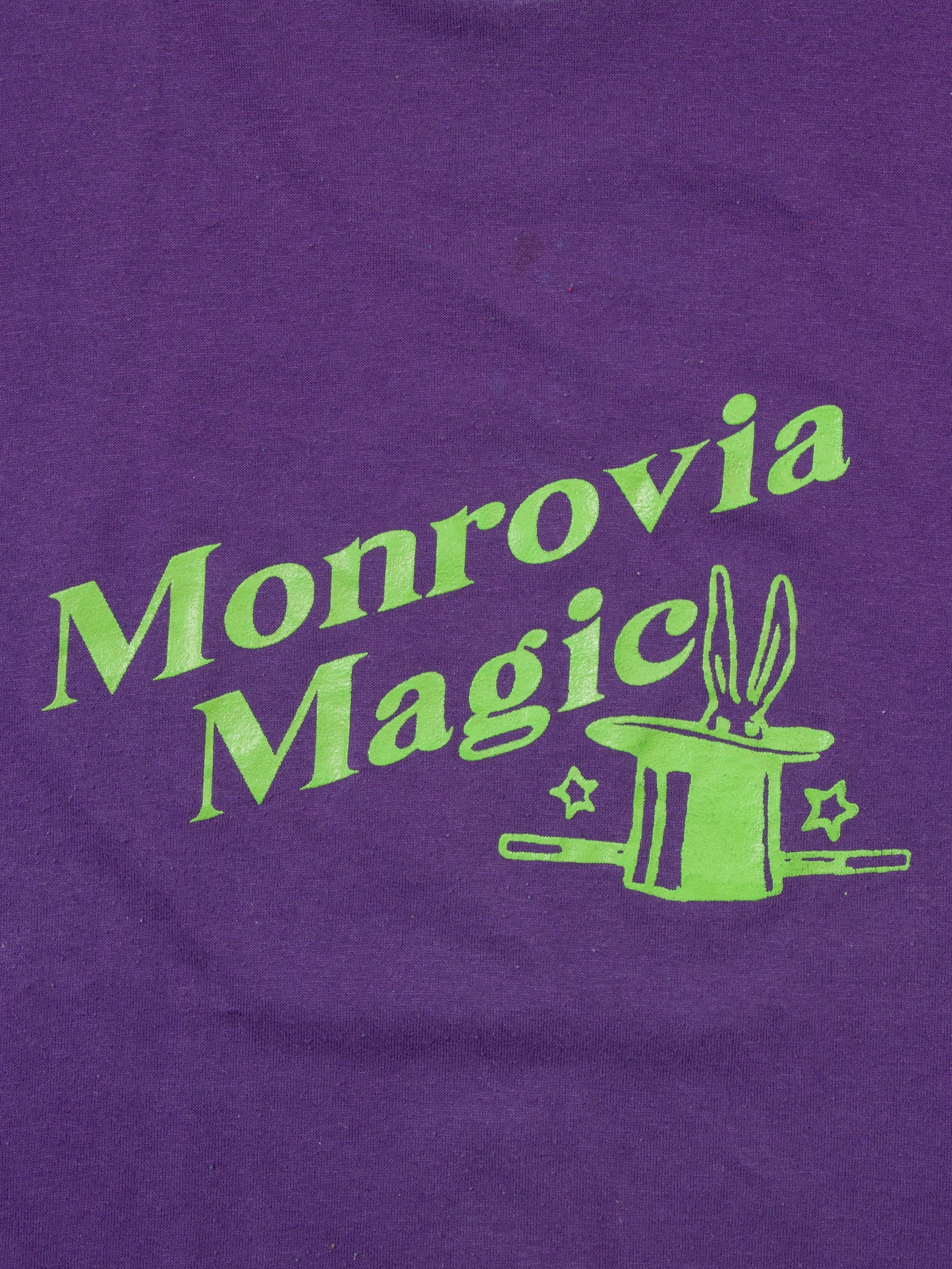 Vtg 1990s Single Stitch Graphic Tee - Made in USA (XL)