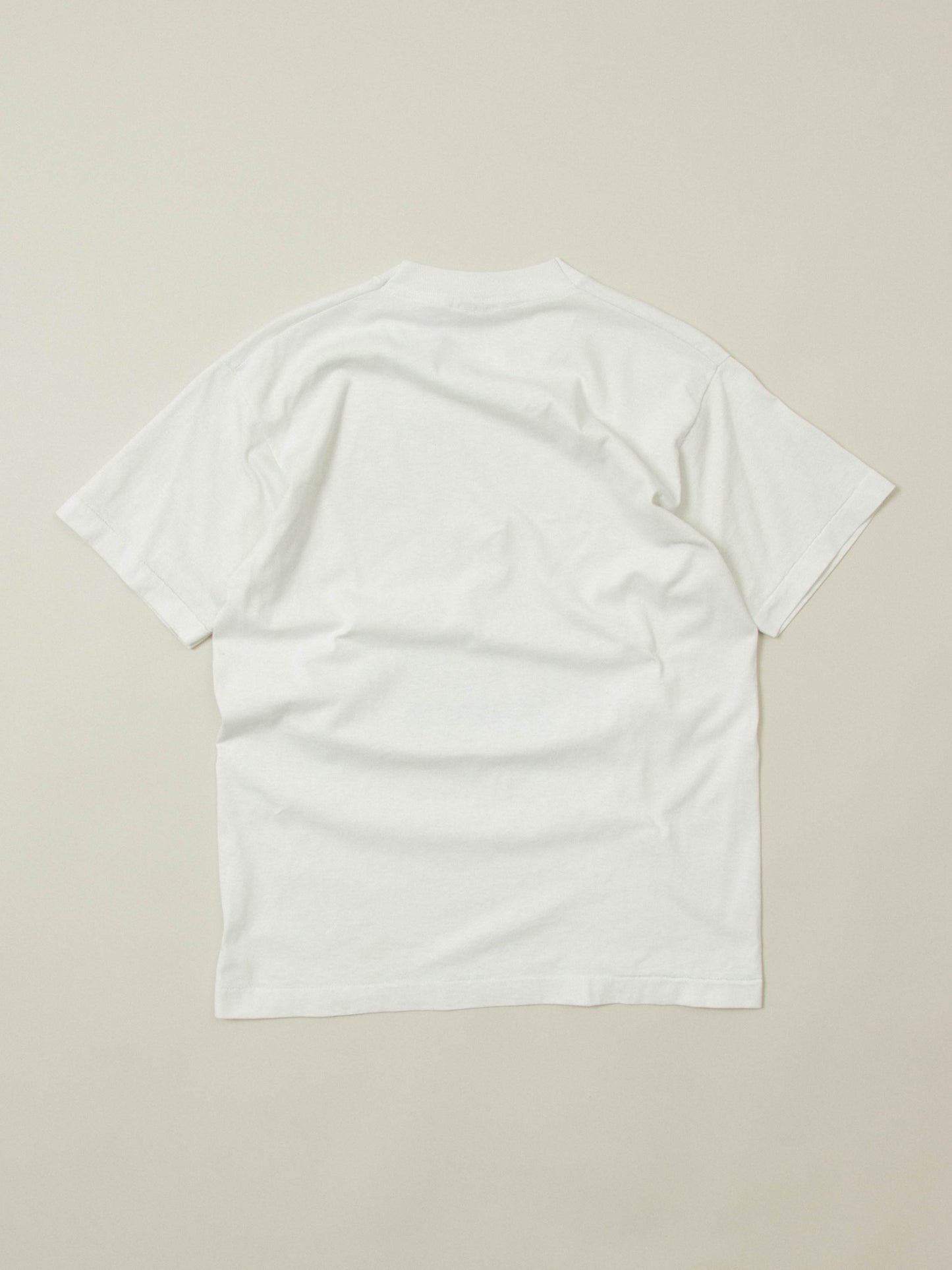 Vtg 1990s Fruit of the Loom Single Stitch Tee - Made in USA (M)