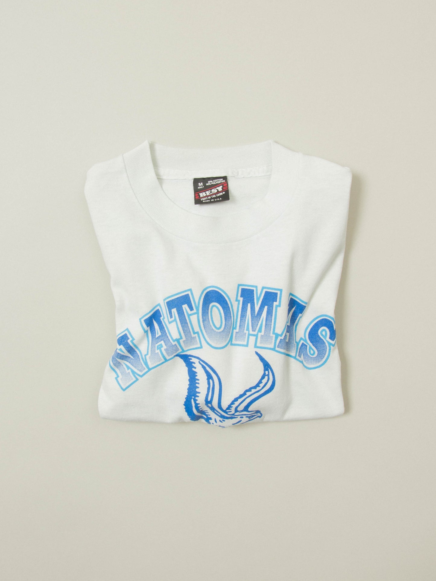 Vtg 1990s Fruit of the Loom Single Stitch Tee - Made in USA (M)