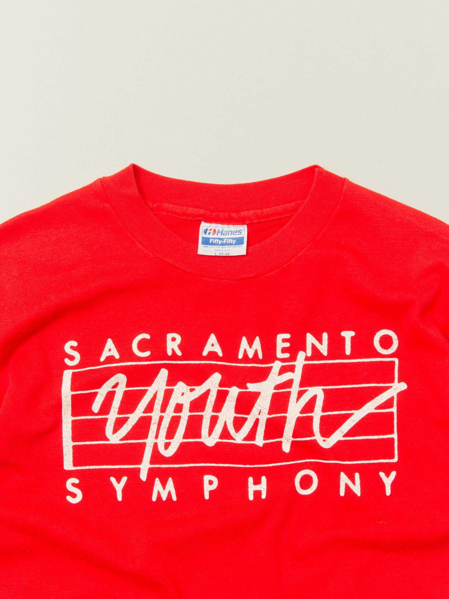 Vtg 1990s Hanes 'Symphony' 50/50 Single Stitch Tee – Made in USA (L)