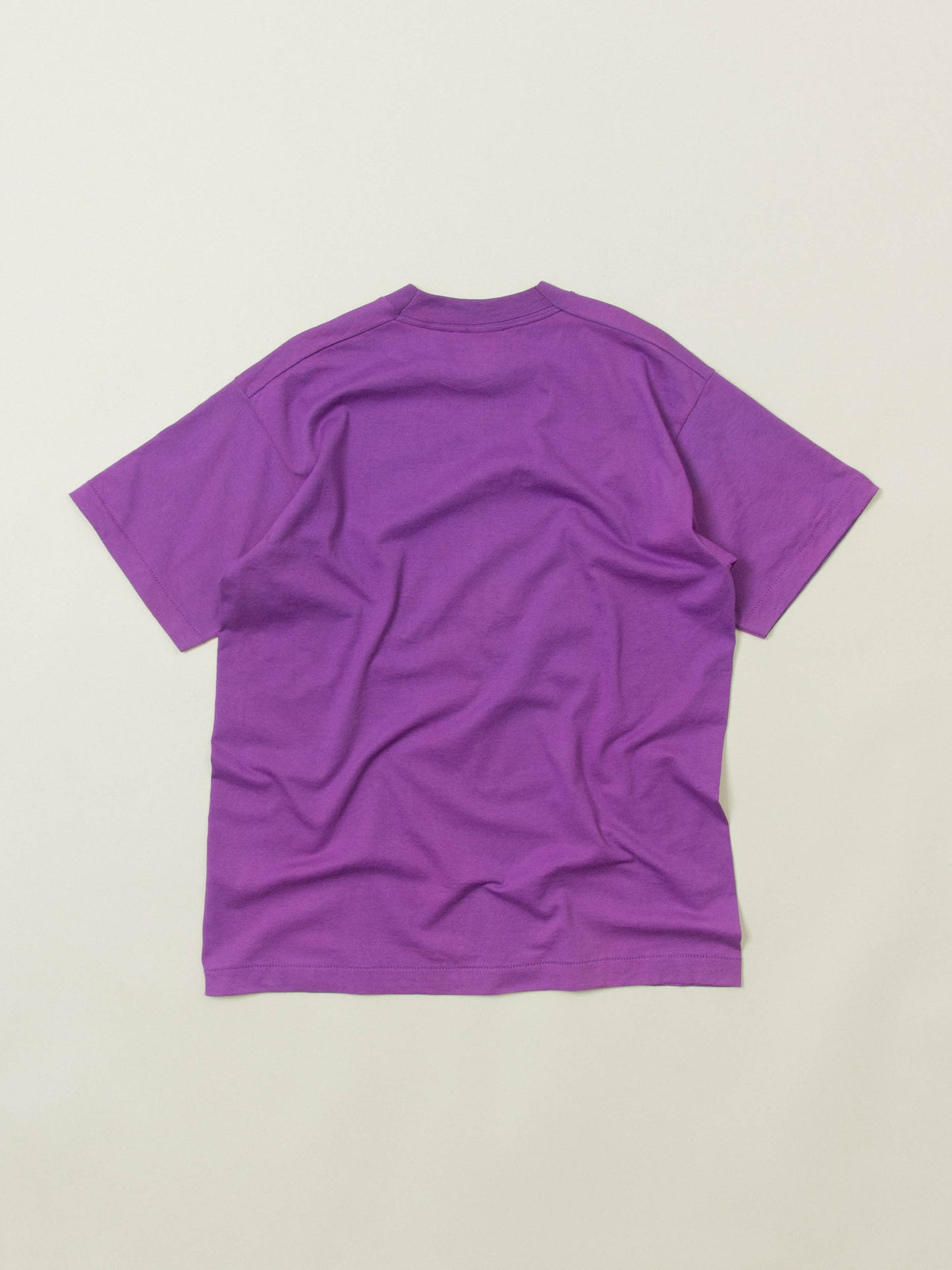 Vtg 1990s Fruit of the Loom Single Stitch Tee - Made in USA (L)