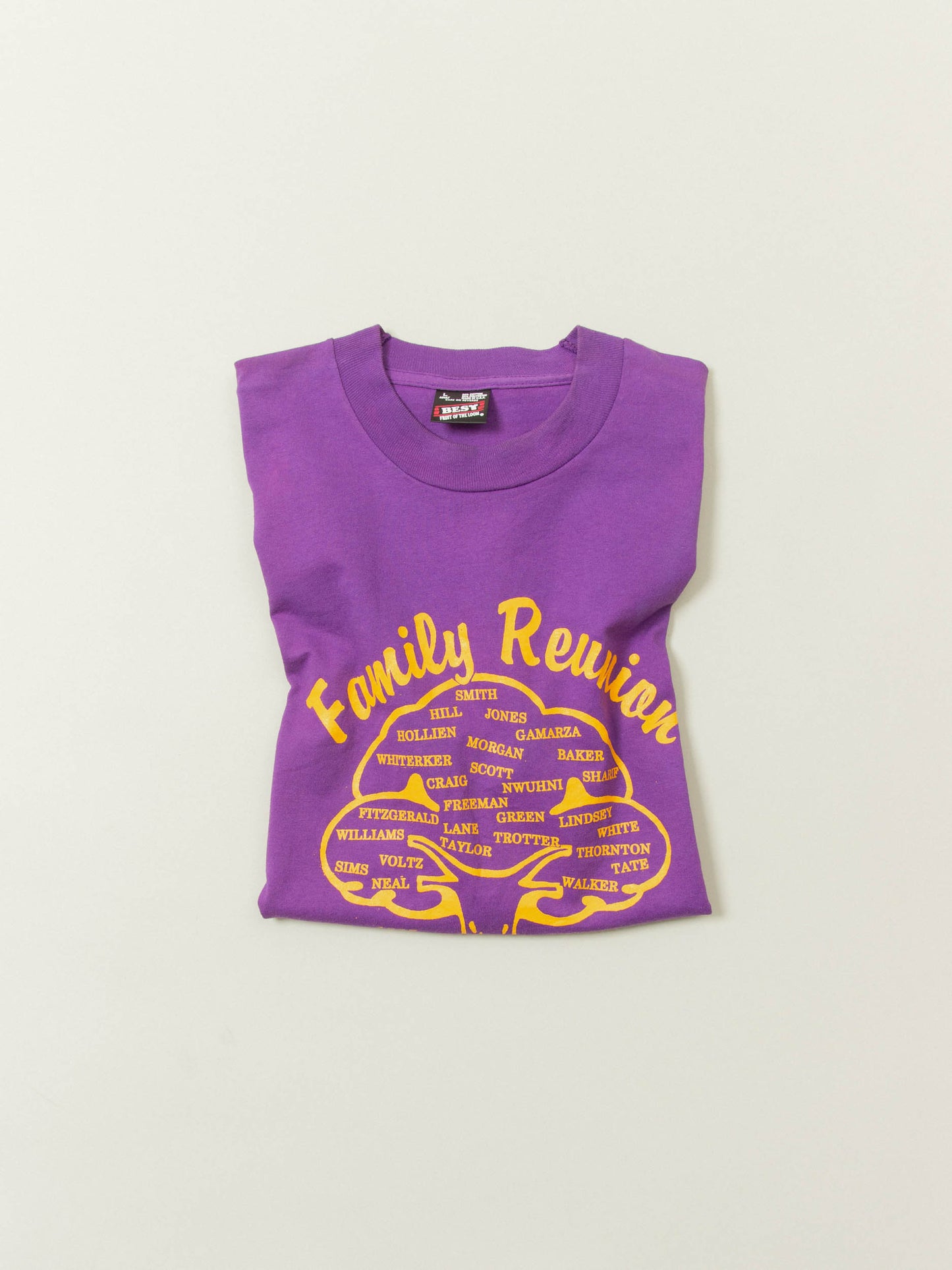 Vtg 1990s Fruit of the Loom Single Stitch Tee - Made in USA (L)