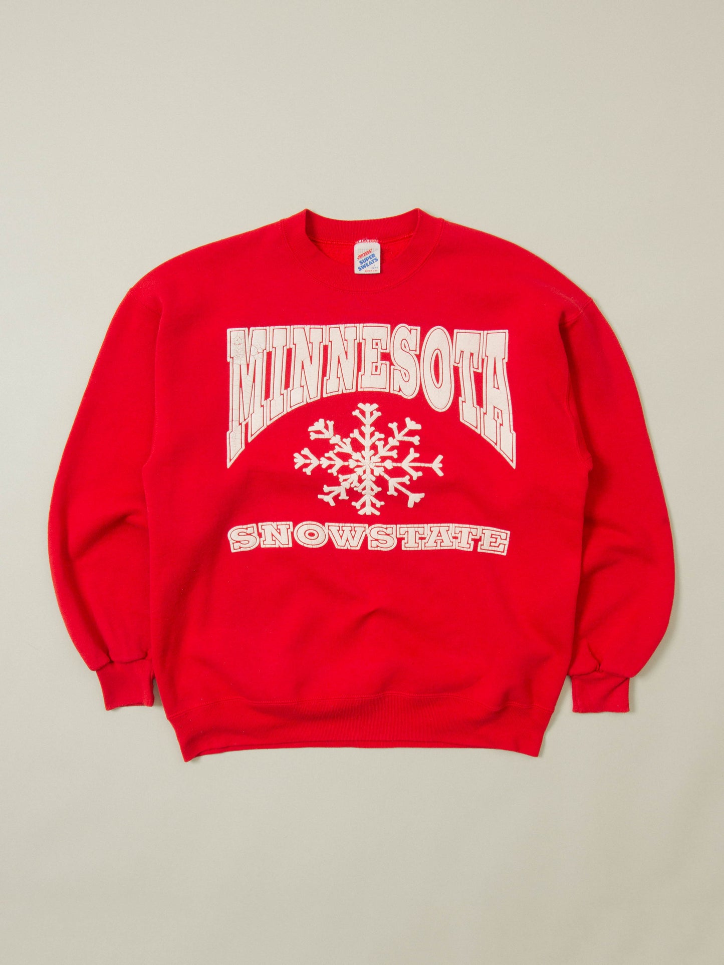 Vtg 1980s Minnesota Sweatshirt - Made in USA (L)