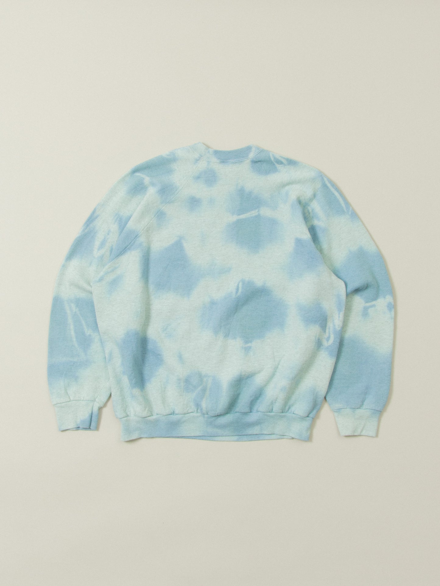 Vtg 1990s Fruit Of The Loom Sweatshirt - Made in USA (L)