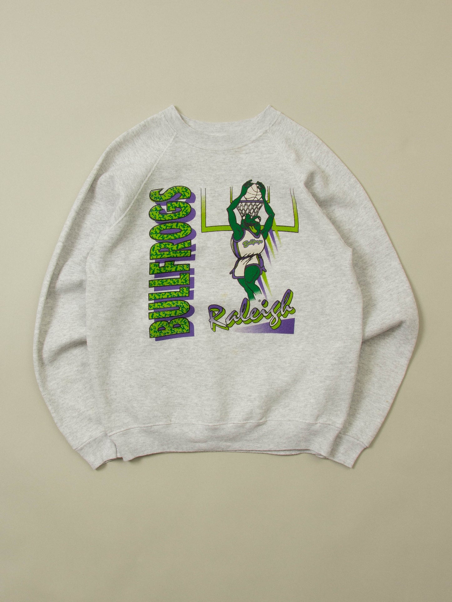 Vtg 1990s Hanes 'Raleigh Bullfrogs' Sweatshirt - Made in USA (M)