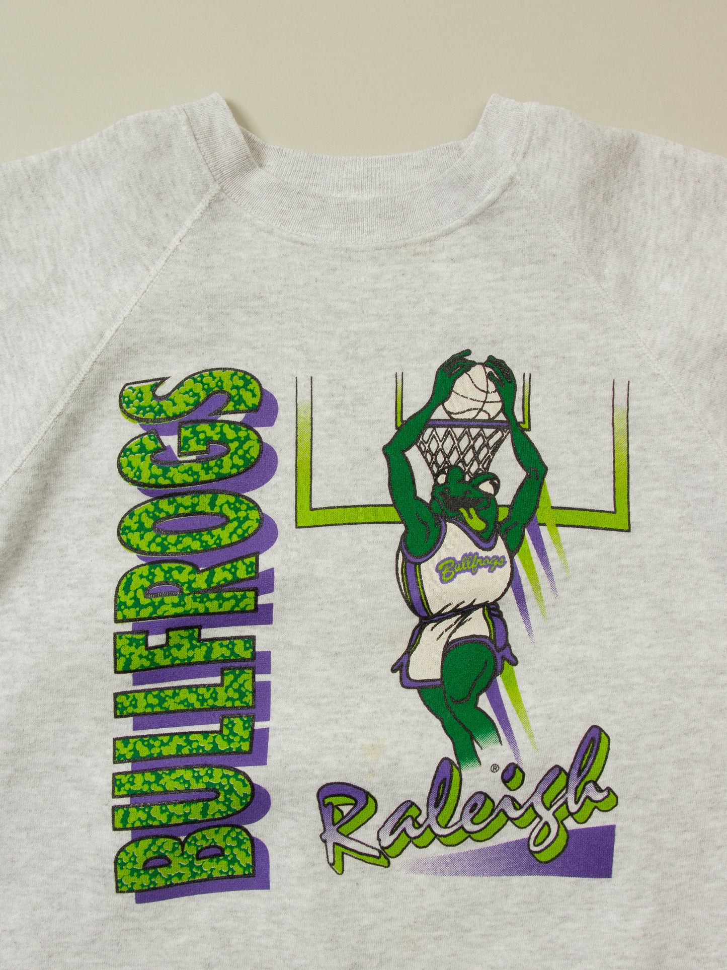 Vtg 1990s Hanes 'Raleigh Bullfrogs' Sweatshirt - Made in USA (M)