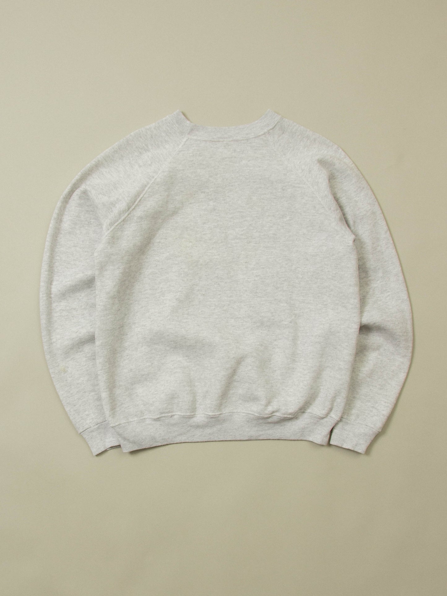 Vtg 1990s Hanes 'Raleigh Bullfrogs' Sweatshirt - Made in USA (M)