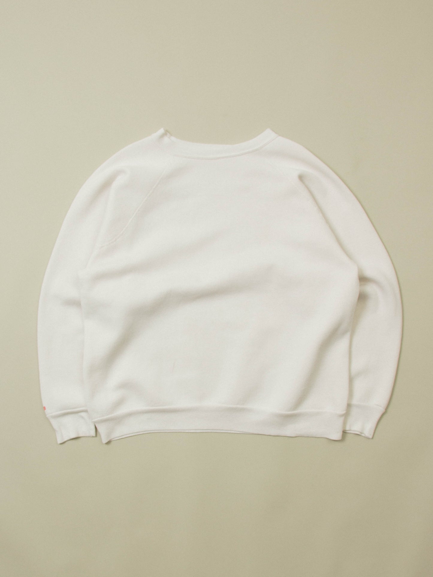 Vtg 1960s North Dakota State University Sweatshirt (L)