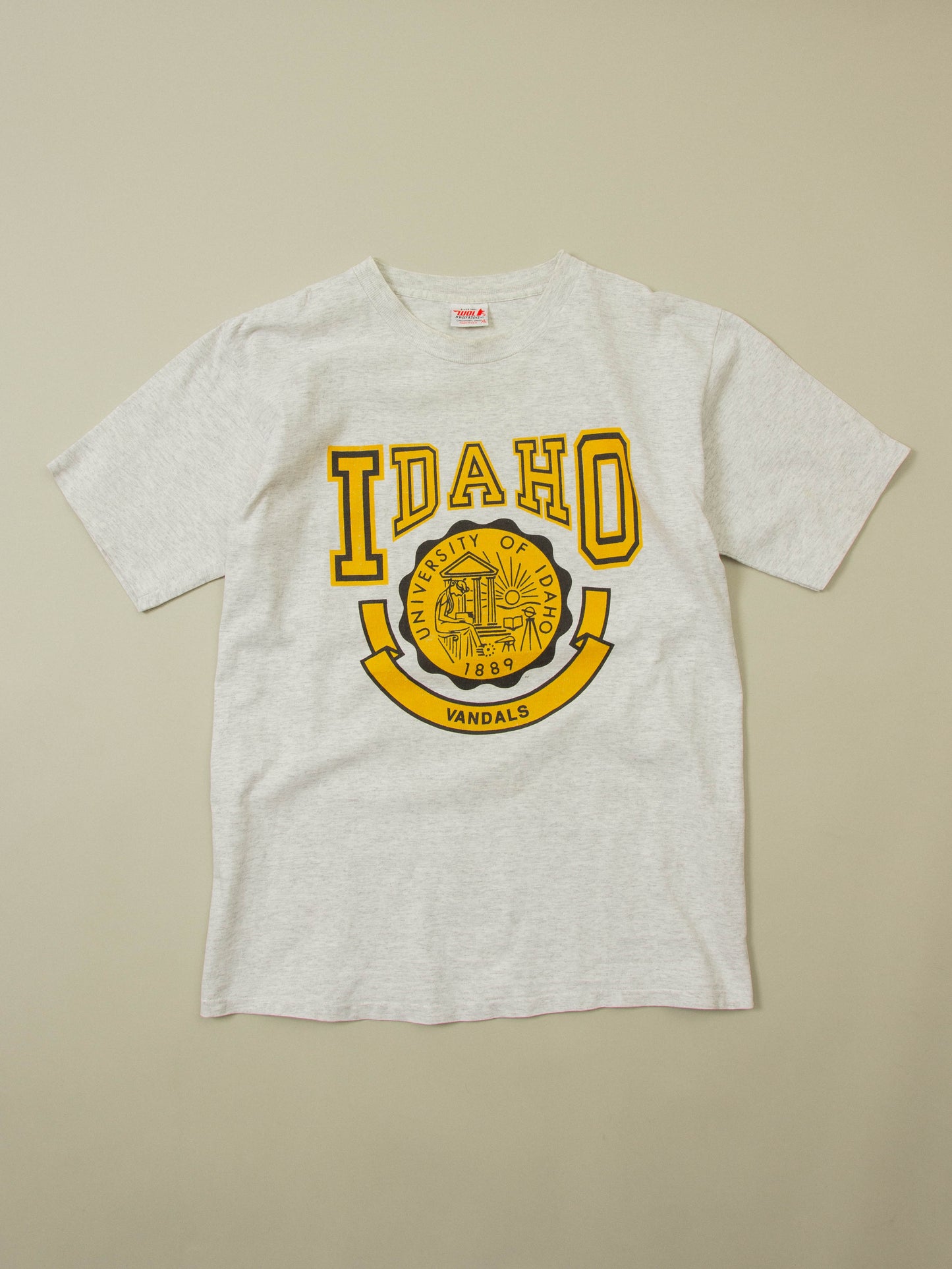 Vtg 1990s Idaho Single Stitch Tee - Made in USA (XL)