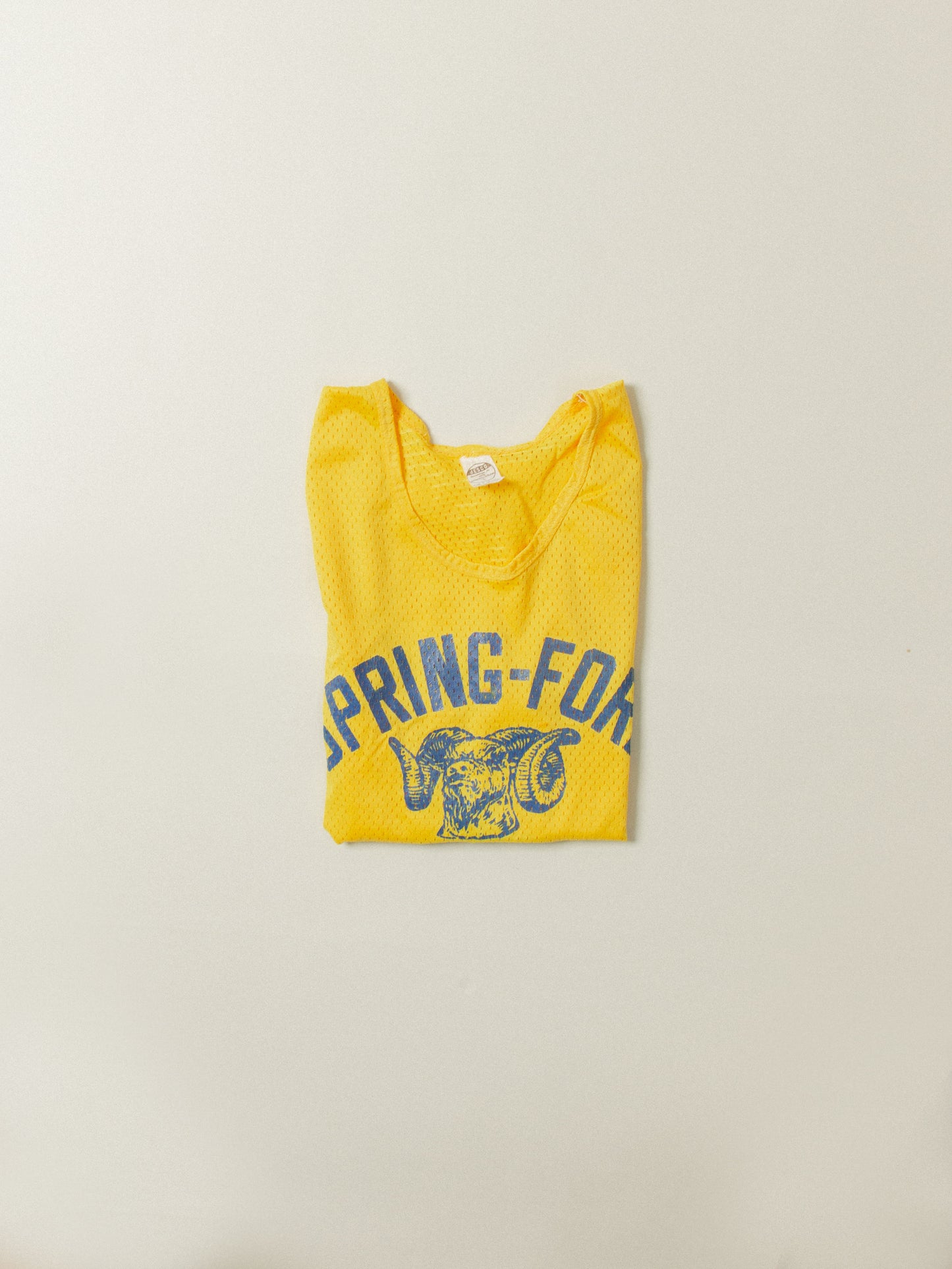 Vtg Spring-Ford Mesh Tank-Top - Made in USA (L)
